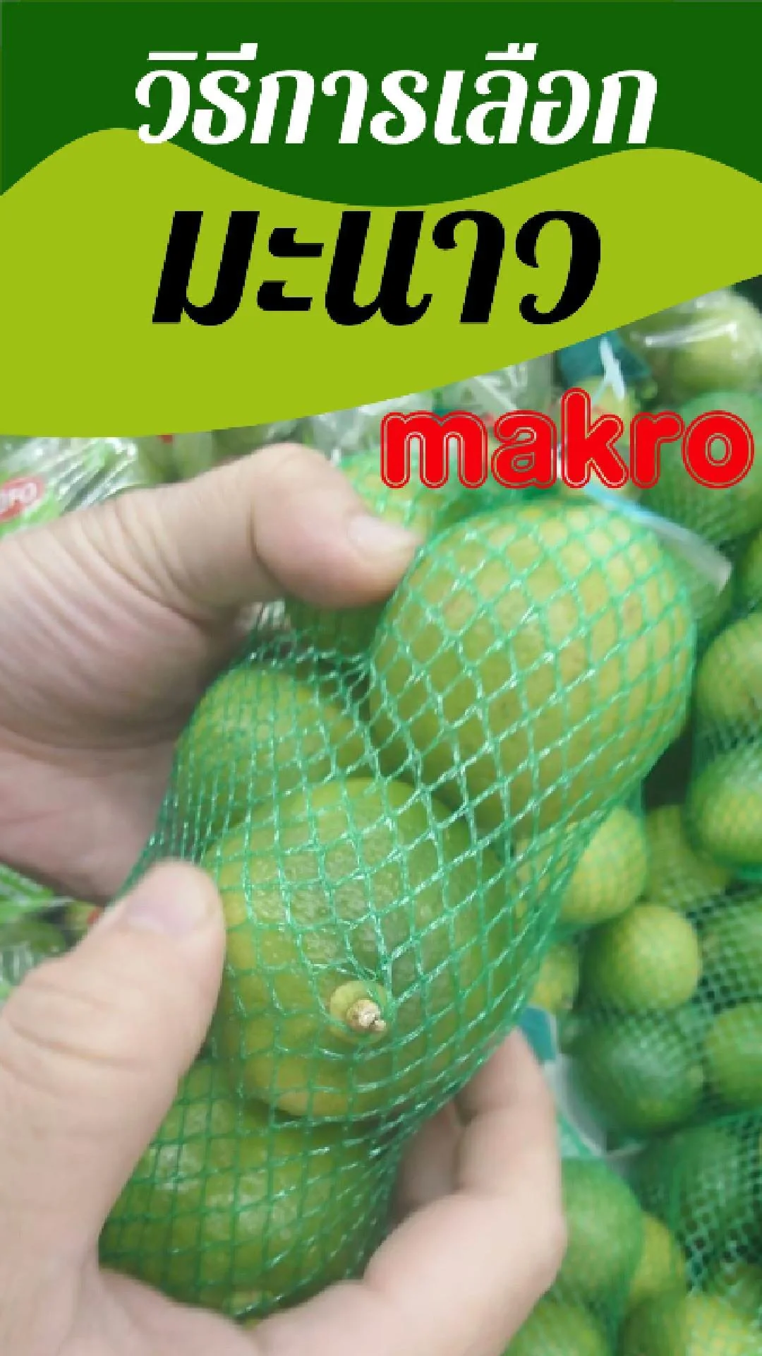 วิธีการเลือกซื้อมะนาว อย่างไร ให้สด เปรี้ยว ไม่ขม makro
