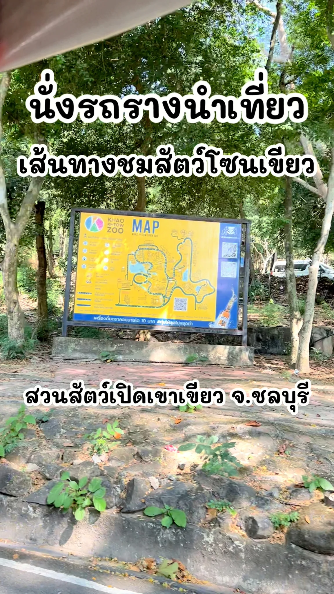 พานั่งรถรางชมสัตว์ สวนสัตว์เปิดเขาเขียว จ.ชลบุรี