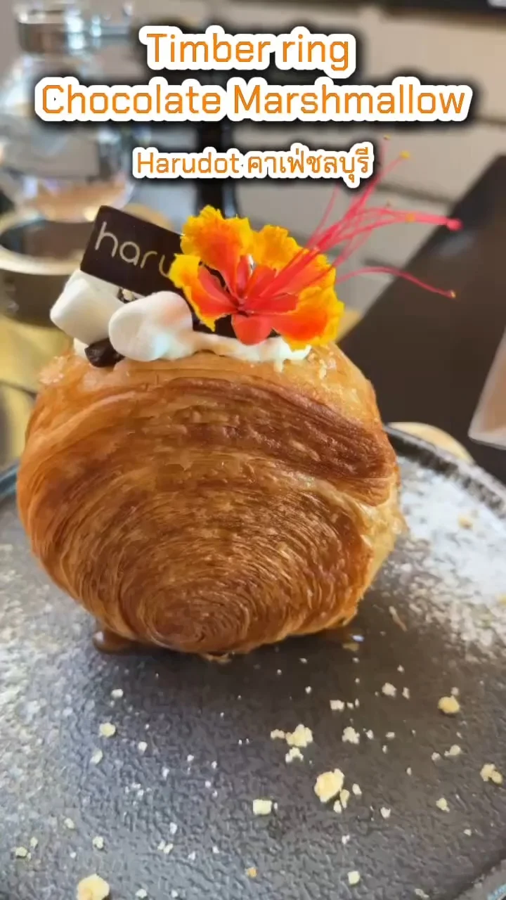 รีวิว Timber ring Chocolate Mardhmallow เมนูอร่อยที่ harudot คาเฟ่ชลบุรี