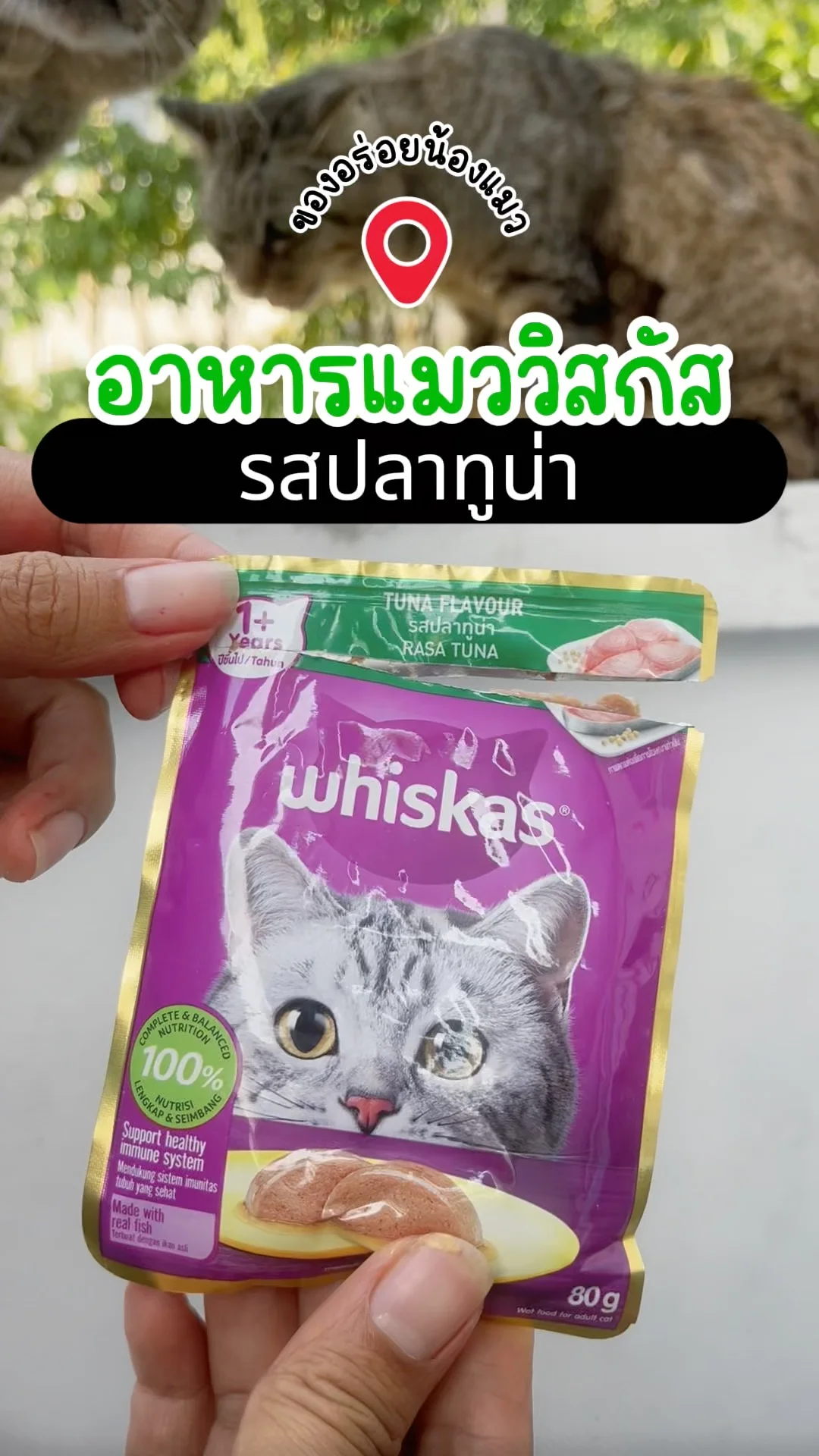 รีวิว อาหารแมววิสกัส รสปลาทูน่า ของอร่อยน้องแมว โลตัส