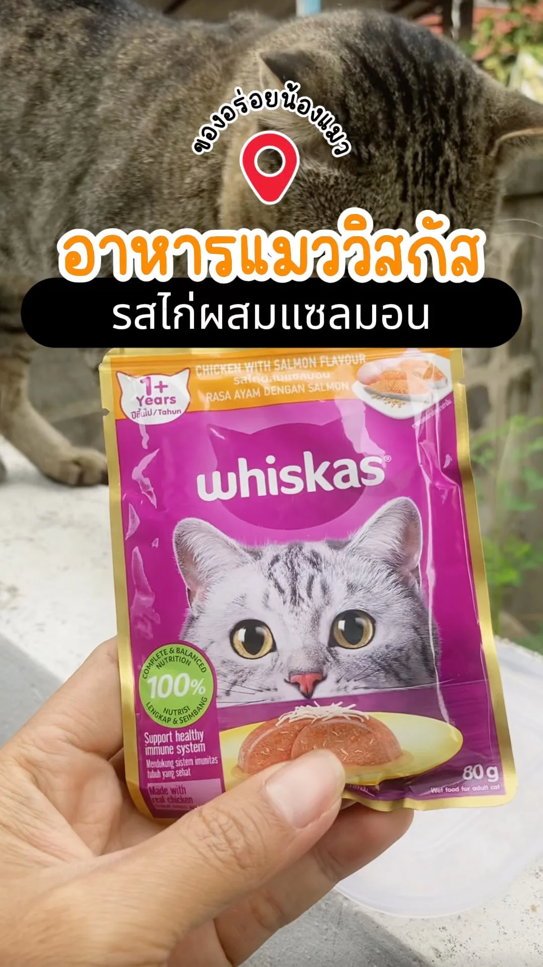 รีวิว อาหารแมววิสกัส รสไก่ผสมแซลมอน ของอร่อยน้องแมว โลตัส