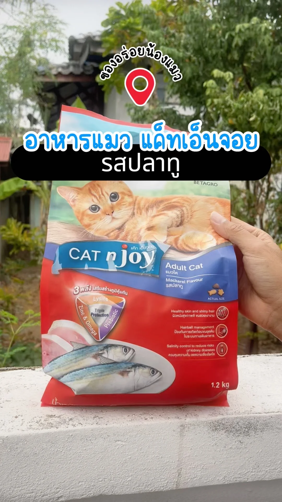 อาหารแมว แค็ทเอ็นจอย รสปลาทู ของอร่อยน้องแมว โลตัส