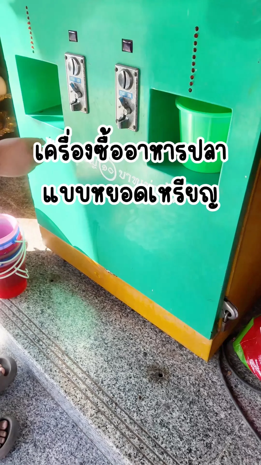 เครื่องซื้ออาหารปลาแบบหยอดเหรียญ สะดวก สบาย