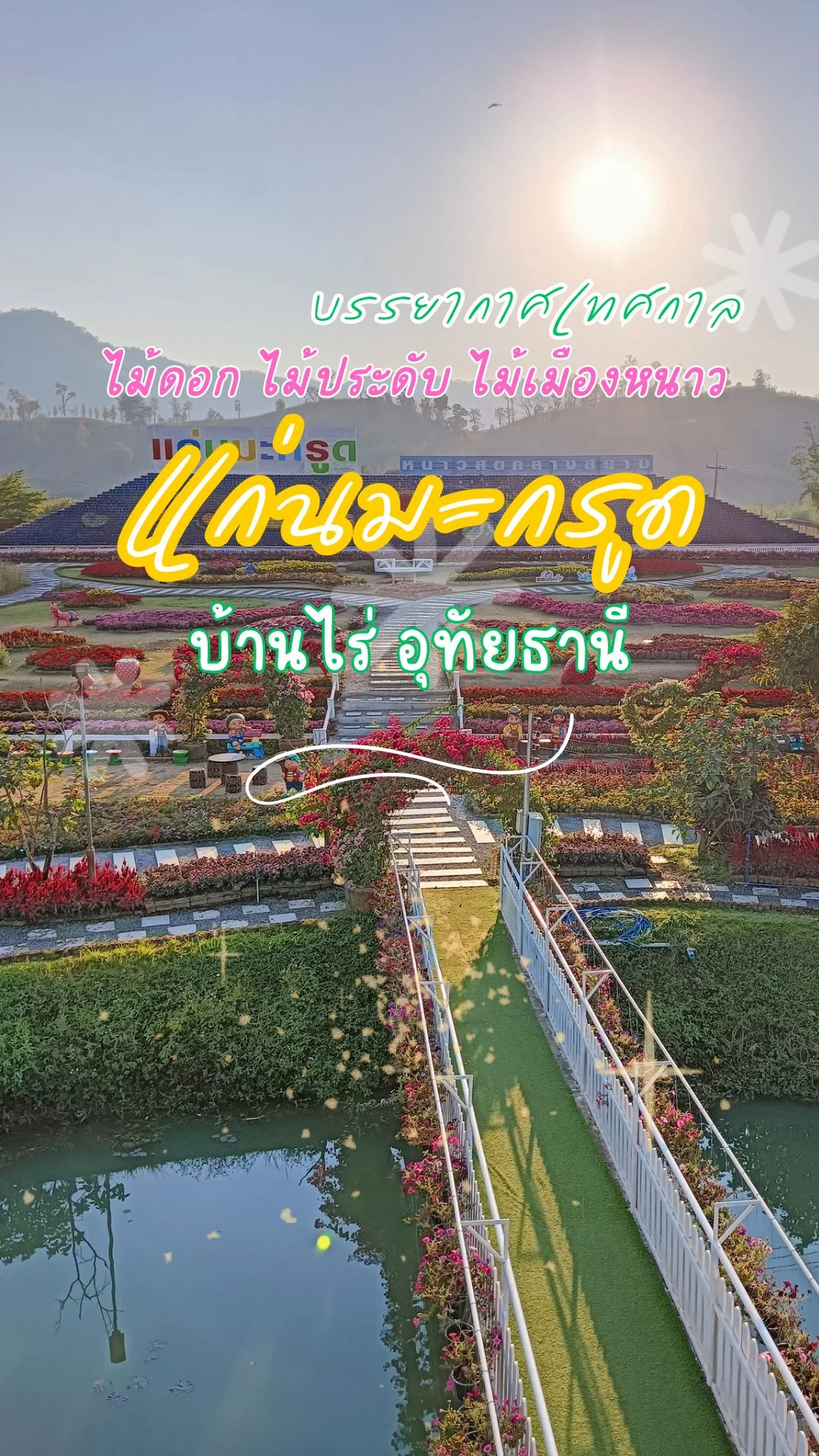 บรรยากาศเทศกาล ไม้ดอก ไม้ประดับ ไม้เมืองหนาว แก่นมะกรูด อ. บ้านไร่ อุทัยธานี