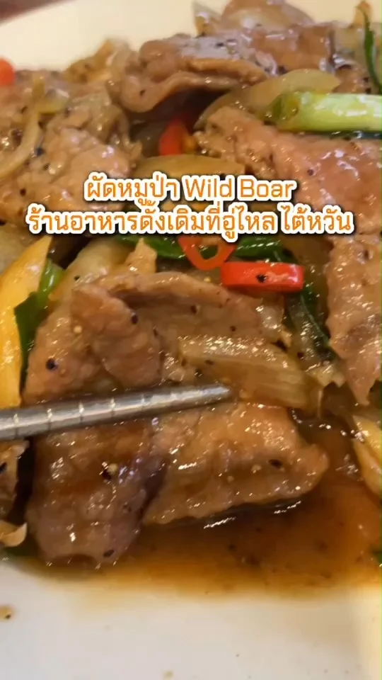 เมนูผัดหมูป่า Wild Boar ร้านอาหารดั้งเดิมที่อู่ไหล ไต้หวัน อร่อย เนื้อนุ่ม