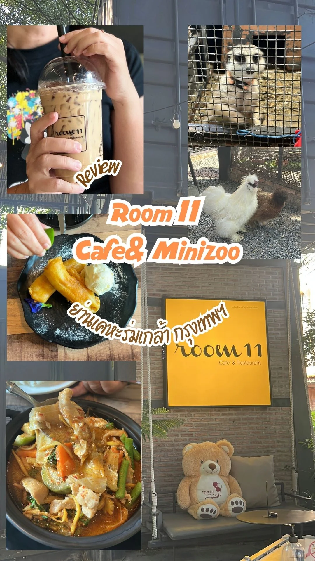 รีวิว Room 11 Cafe & Mini Zoo คาเฟ่ของชาวเคหะร่มเกล้า กทม.