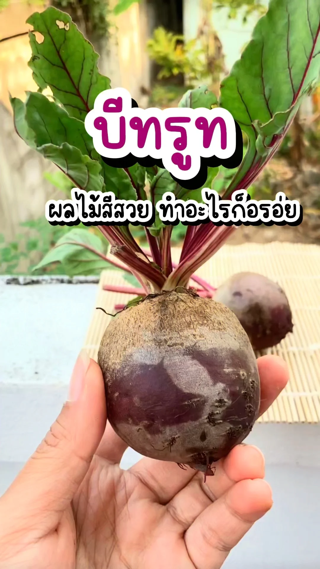 รีวิว บีทรูท ผลไม้สีสวย มีประโยชน์ ทำอะไรก็อร่อย