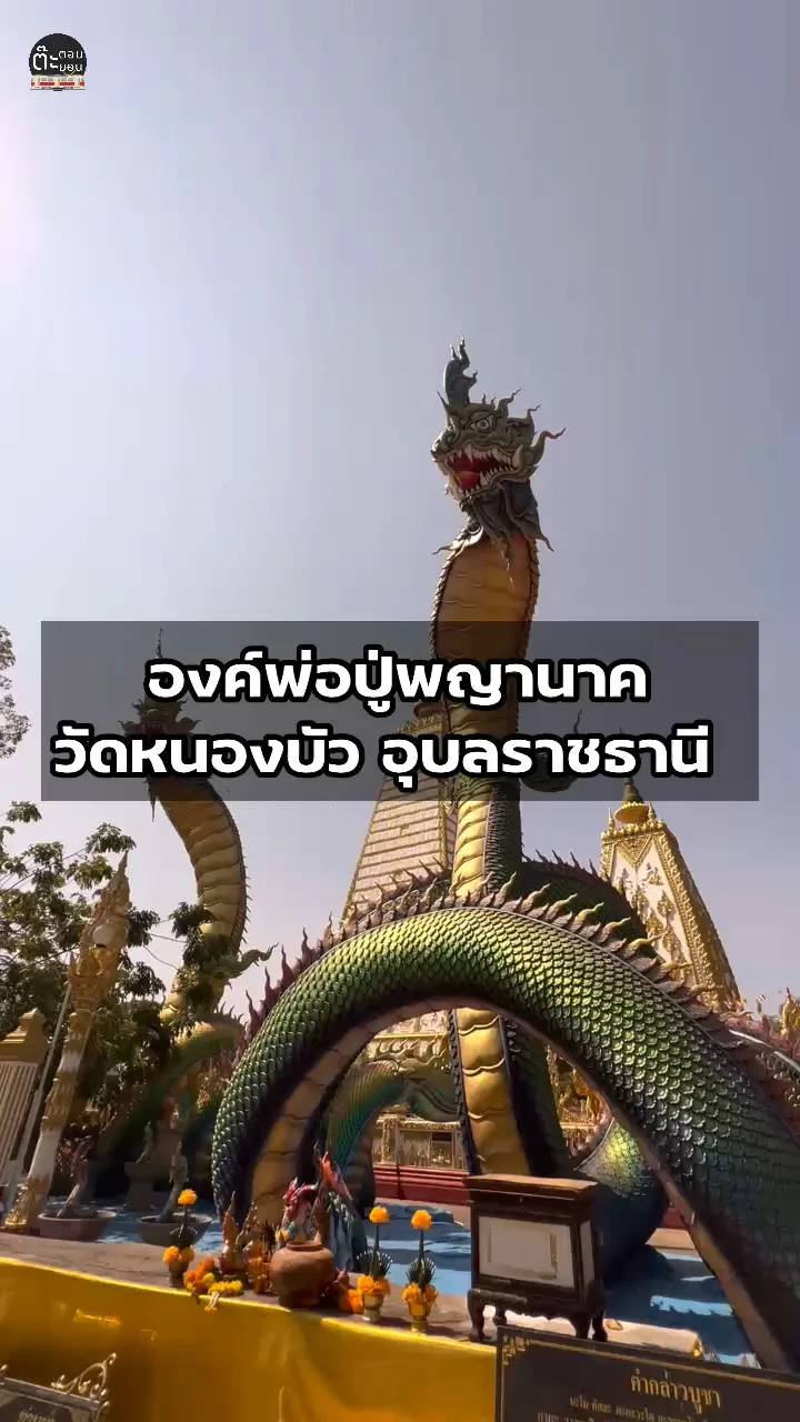 สักการะพ่อปู่พญานาคองค์ใหญ่ ที่วัดหนองบัว อุบลราชธานี