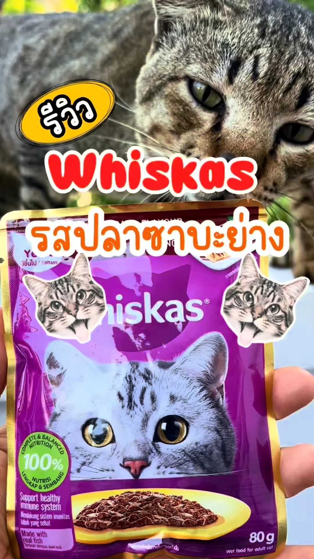 รีวิว Whiskas รสปลาซาบะย่าง ของอร่อย น้องแมว ที่ Lotus