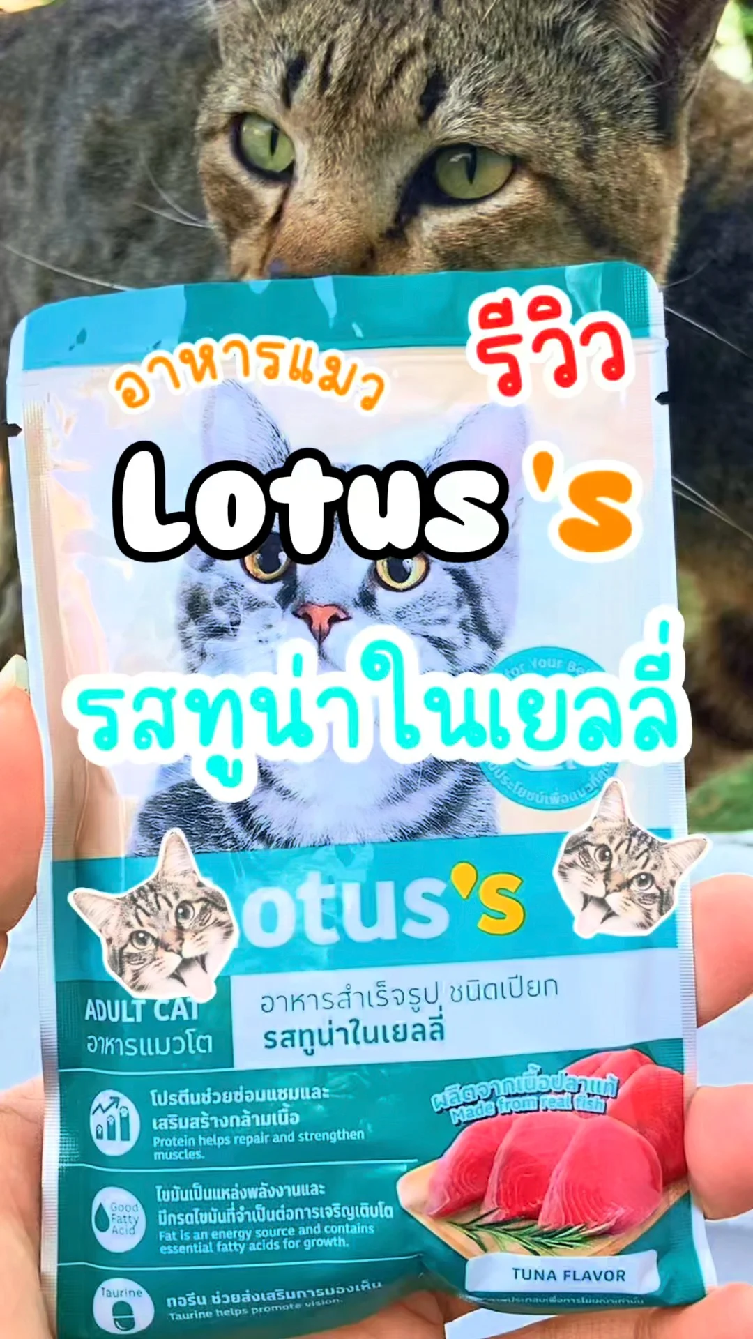 รีวิว Lotus 's อาหารแมว รสทูน่าในเยลลี่ ของอร่อย น้องเหมียว
