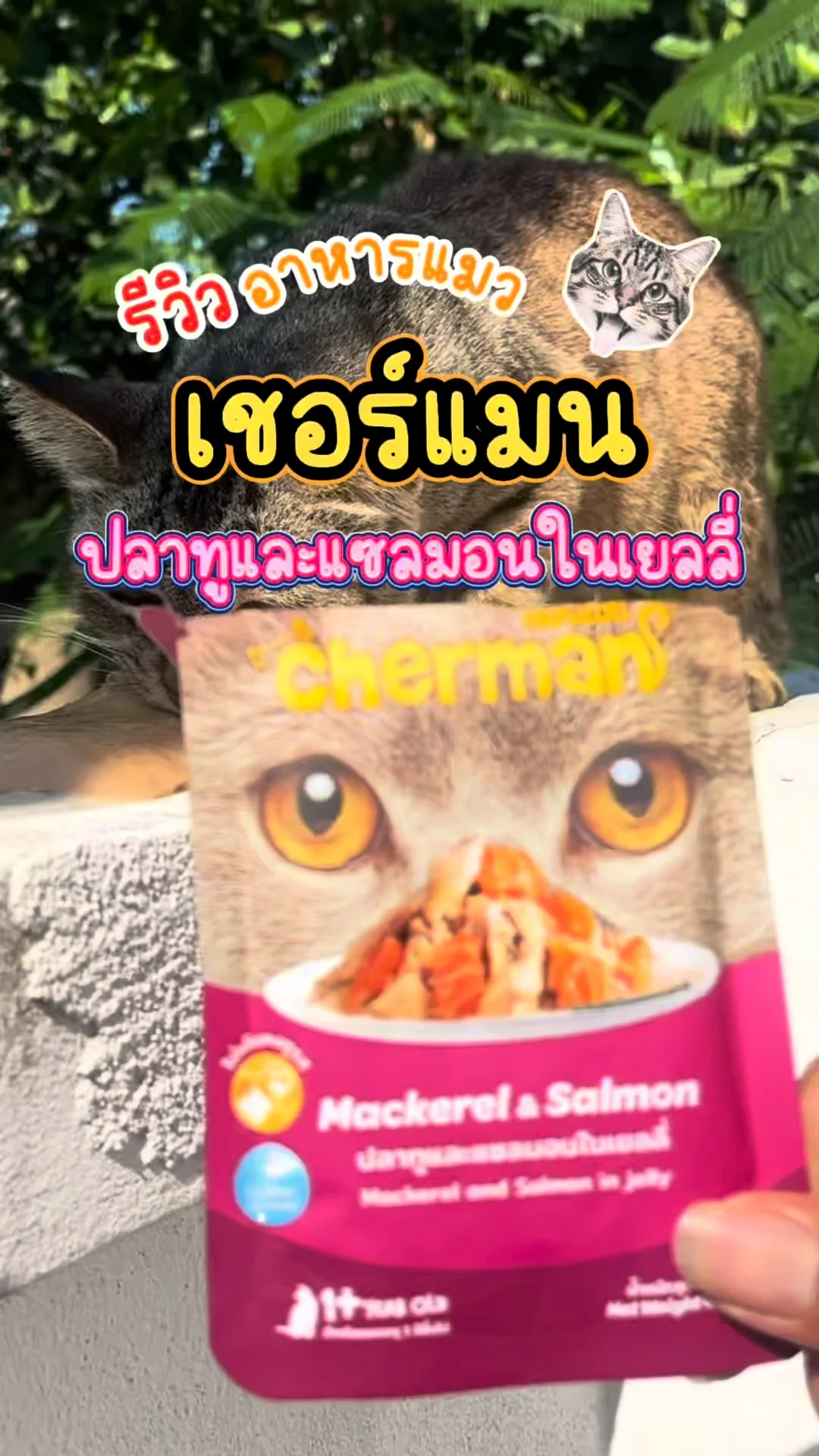 รีวิวโลตัส อาหารแมว เชอร์แมน ปลาทูและแซลมอนในเยลลี่