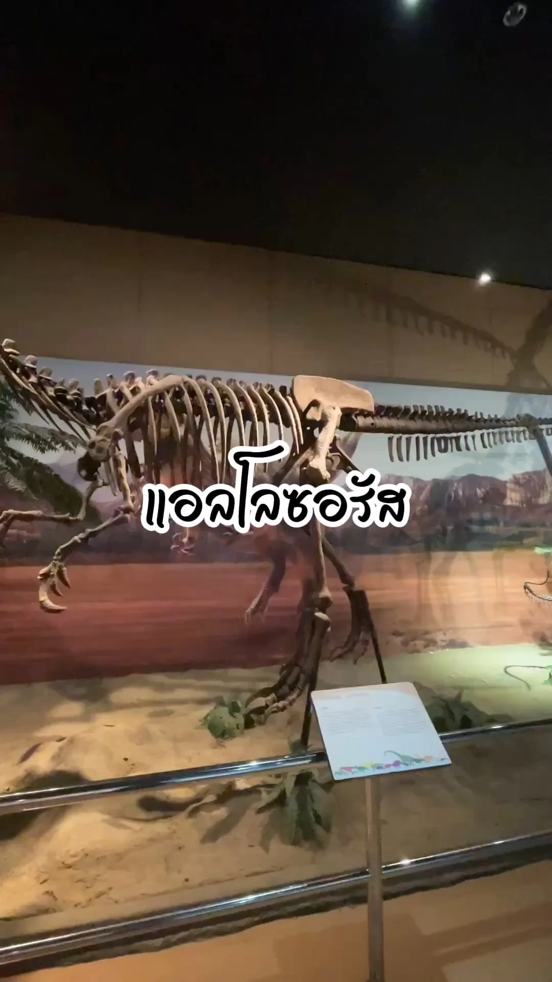 จำลองกระดูไดโนเสร์ แอลโลซอรัส ดูได้ที่พิพิธภัณฑสถานแห่งชาติธรณีวิทยาฯ