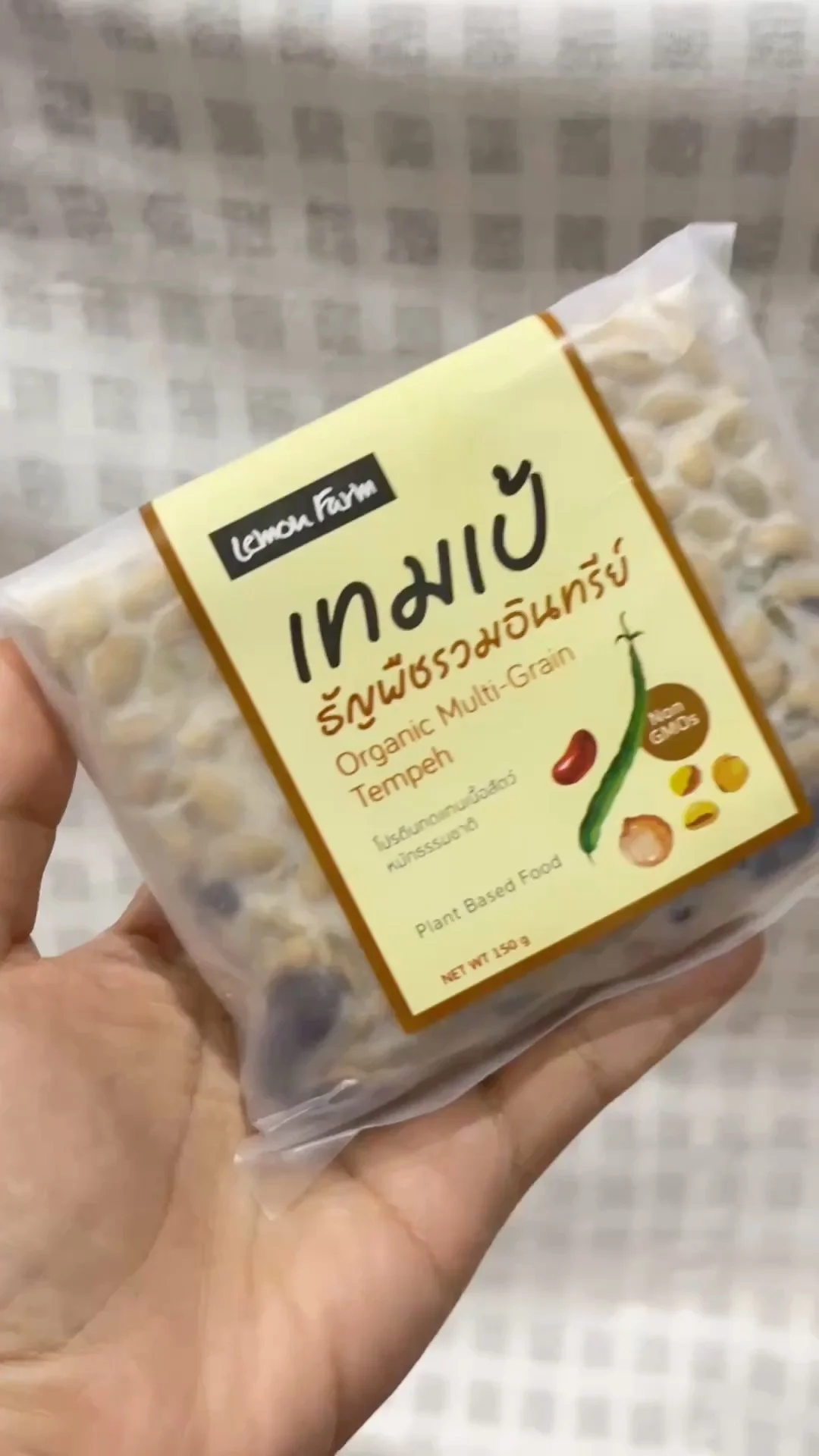 เทมเป้ ถั่วรวม อาหารโปรตีนสูงสำหรับคนรักสุขภาพ