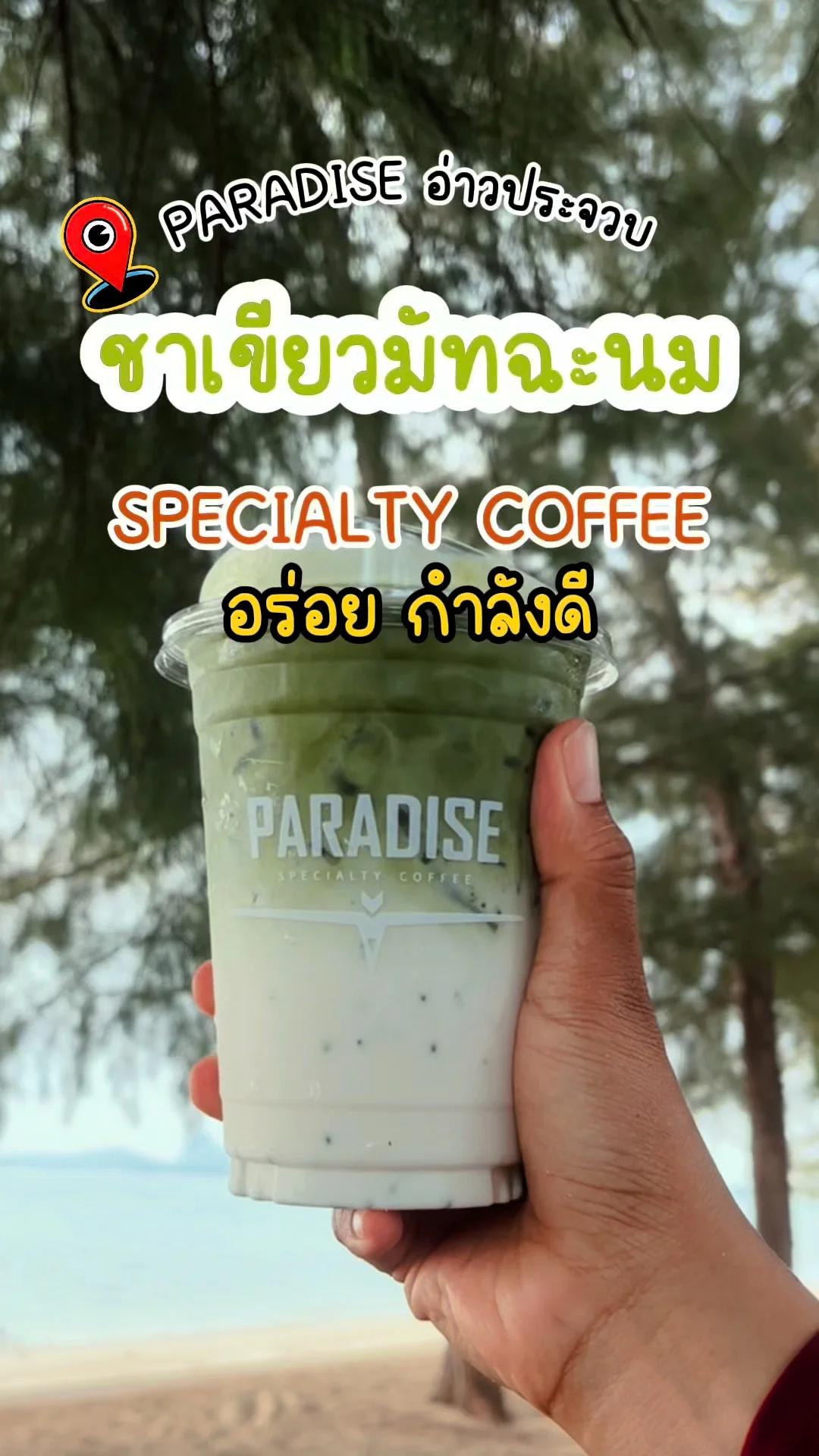 รีวิว ชาเขียวมัทฉะนม Paradise อ่าวประจวบ Specialty Coffee อร่อยกำลังดี