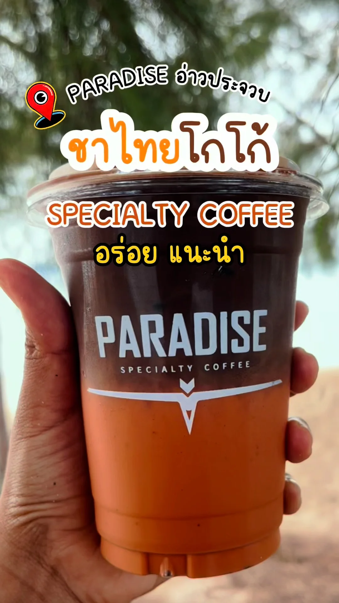 รีวิว ชาไทยโกโก้ Paradise อ่าวประจวบ Specialty Coffee อร่อยแนะนำ