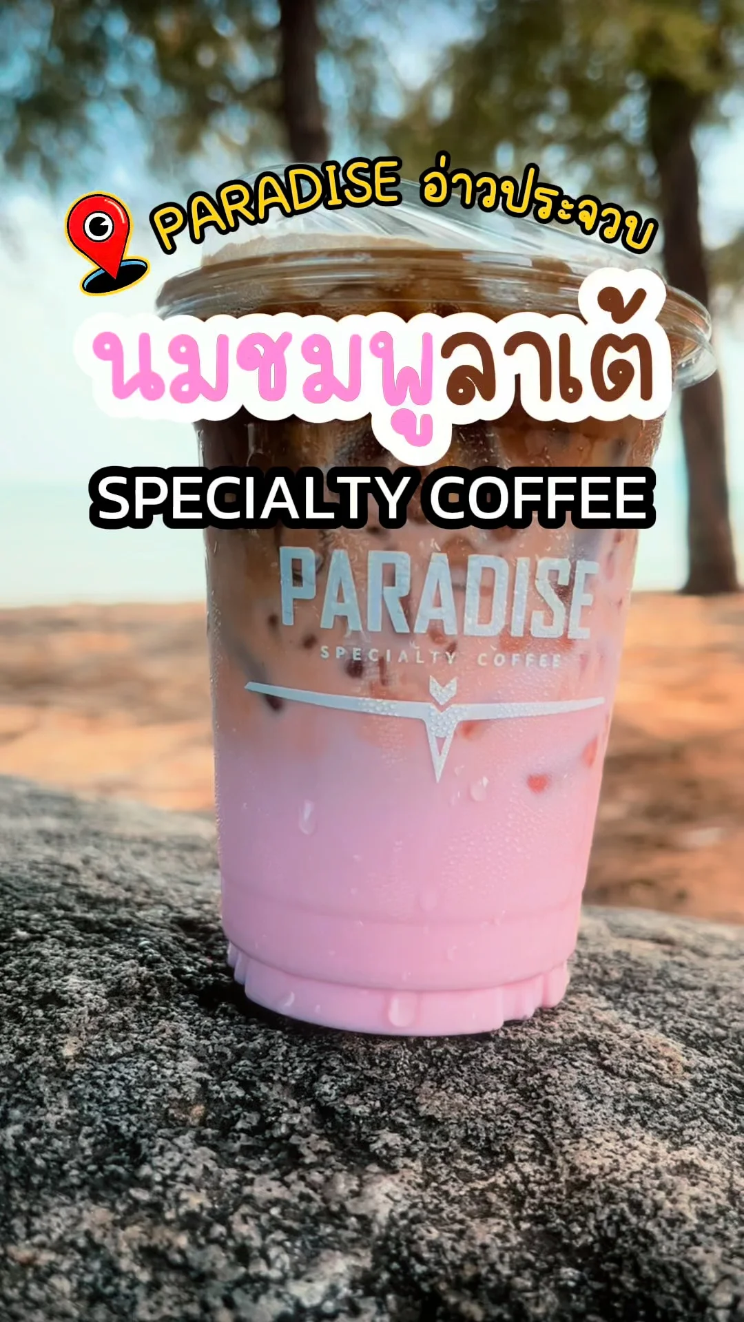 รีวิว นมชมพูลาเต้ Paradise อ่าวประจวบ Specialty Coffee อร่อยบอกต่อ