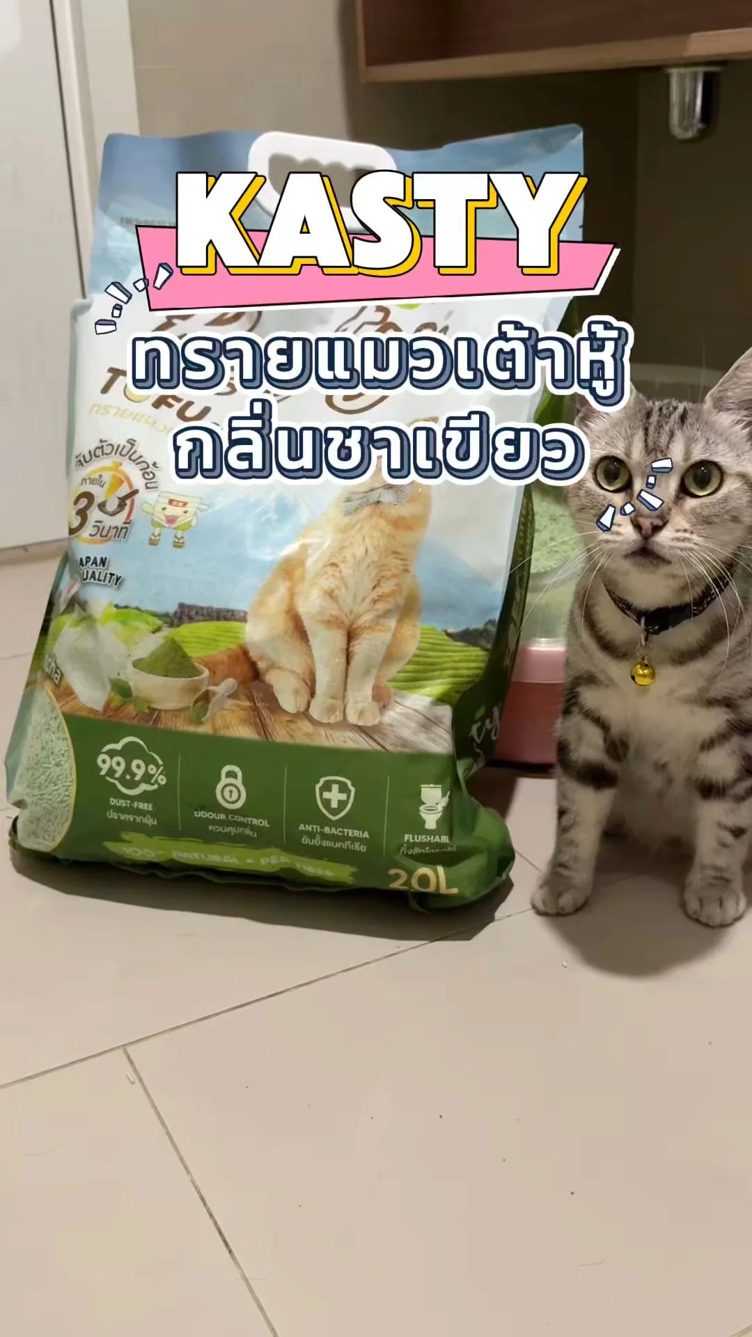 ทรายแมวเต้าหู้ Kasty กลิ่นชาเขียว ที่น้องแมวชอบ
