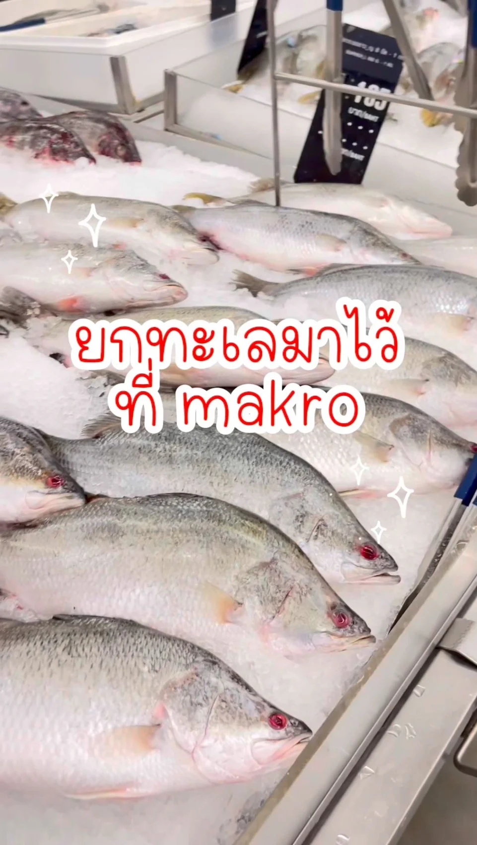 ยกทะเลมาไว้ ที่แม็คโคร ของสดคุณภาพดี ช้อปได้ !!!