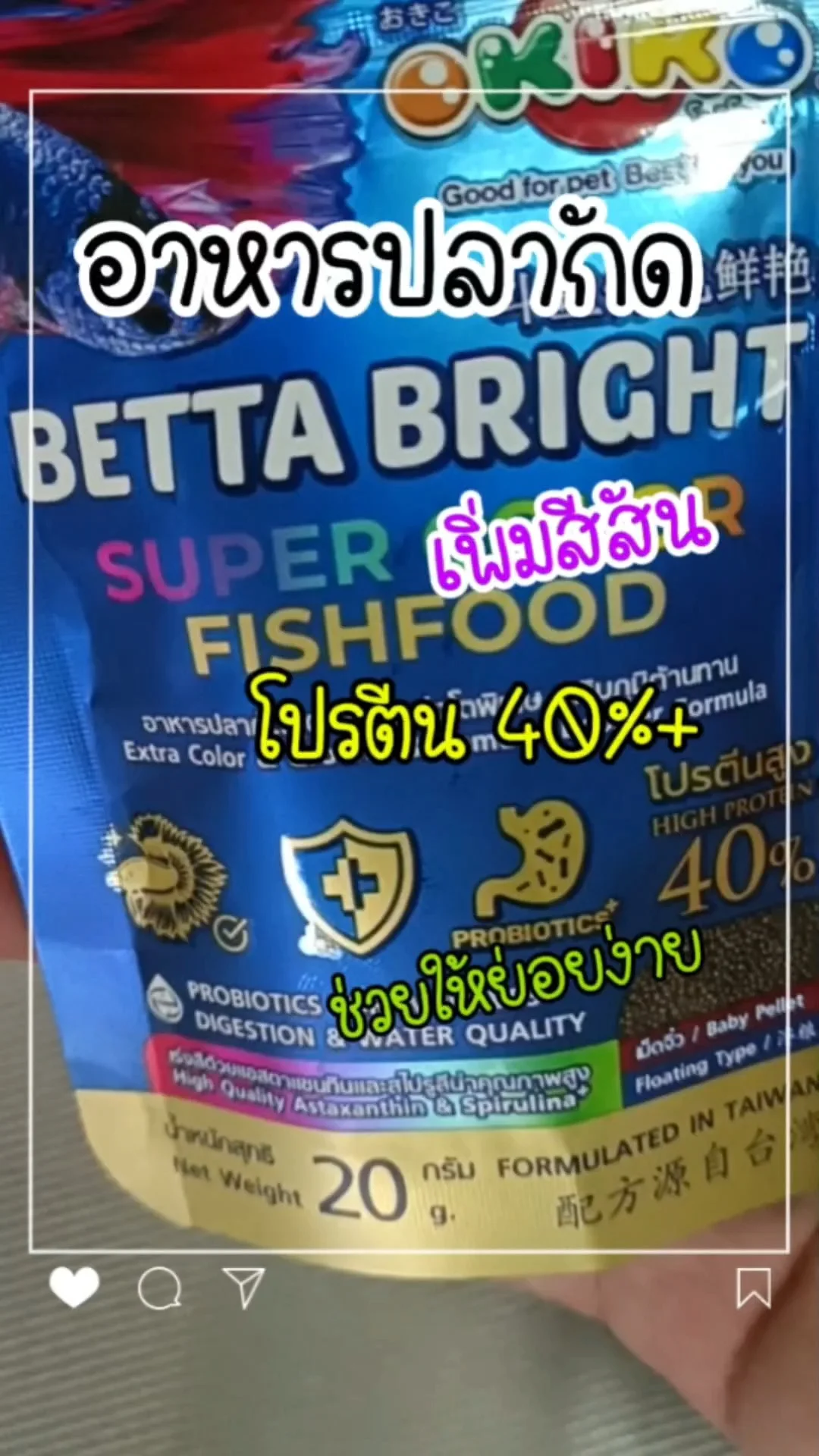 เพิ่มหล่อ เสริมสวย น้องปลากัด ด้วย อาหารปลากัด