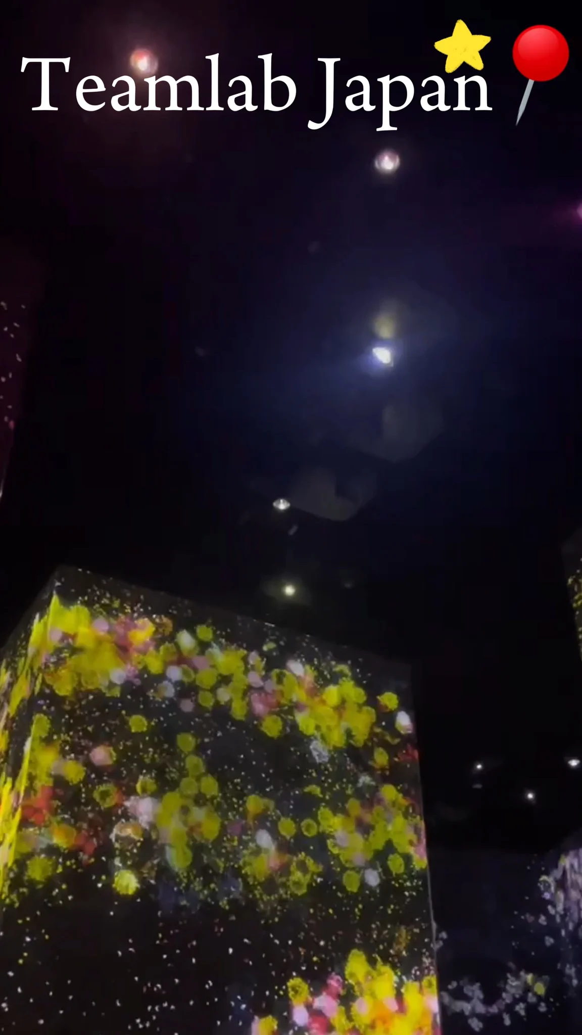 รีวิว Teamlab โตเกียว ที่เที่ยวญี่ปุ่น ไม่ควรพลาด