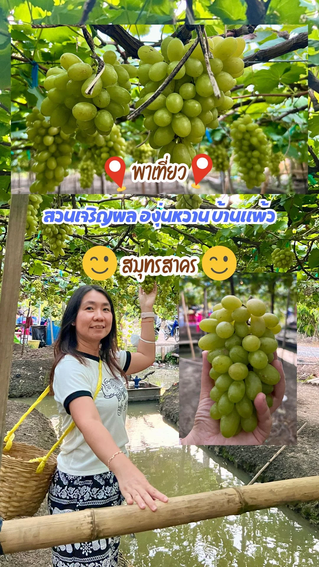 พาเที่ยว สวนเจริญผล องุ่นหวาน บ้านแพ้ว สมุทรสาคร ชิวๆกับวิถีชาวสวน