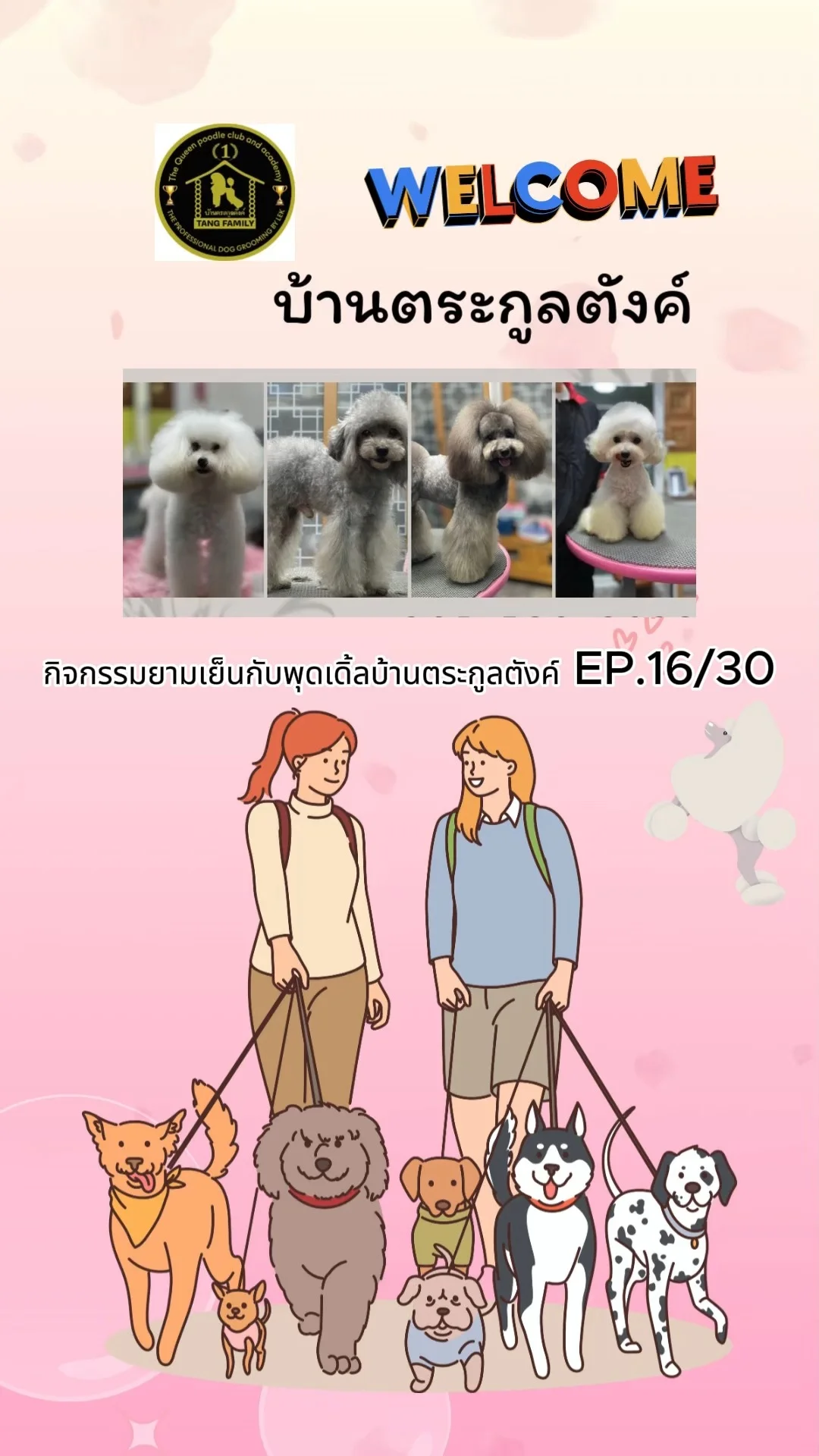 ออกกำลังกายกันเถอะ ดูพุดเดิ้ลวิ่งเล่น ยามเย็นกับพุดเดิ้ลบ้านตระกูลตังค์