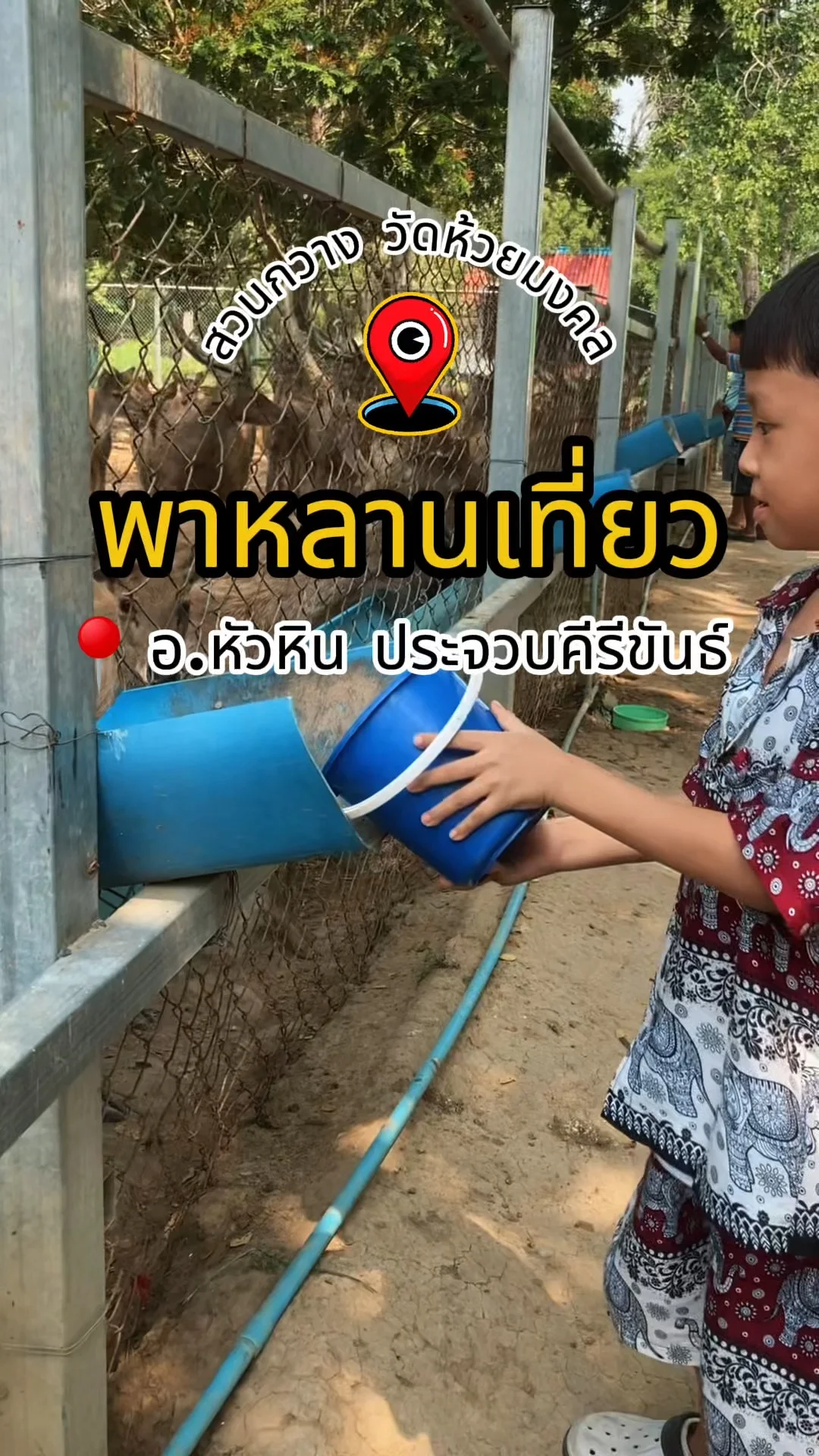 เที่ยว สวนกวาง วัดห้วยมงคล ที่เที่ยวหัวหิน ประจวบคีรีขันธ์