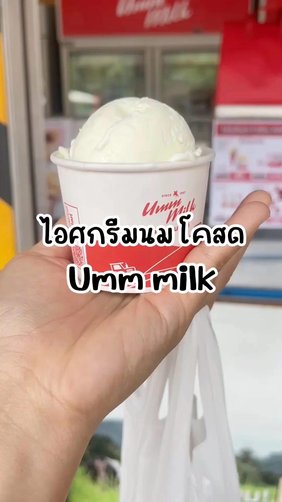 พาไปชิมไอศกรีมจากนมโคสดแท้ที่ Umm milk ฟาร์มโชคชัย
