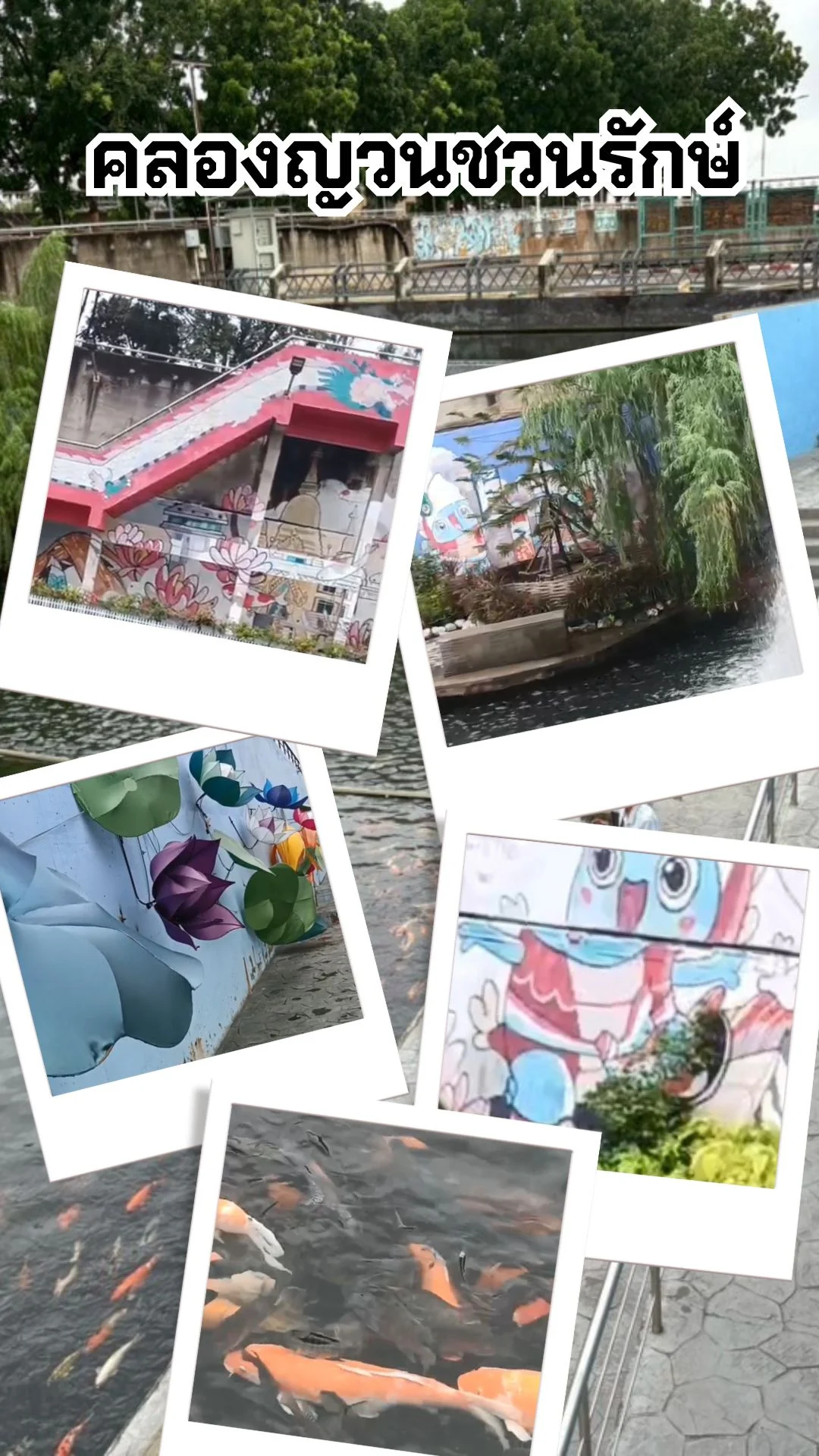 คลองญวนชวนรักษ์ แลนด์มาร์กใหม่ จ.นครสวรรค์ ที่ไม่ควรพลาด
