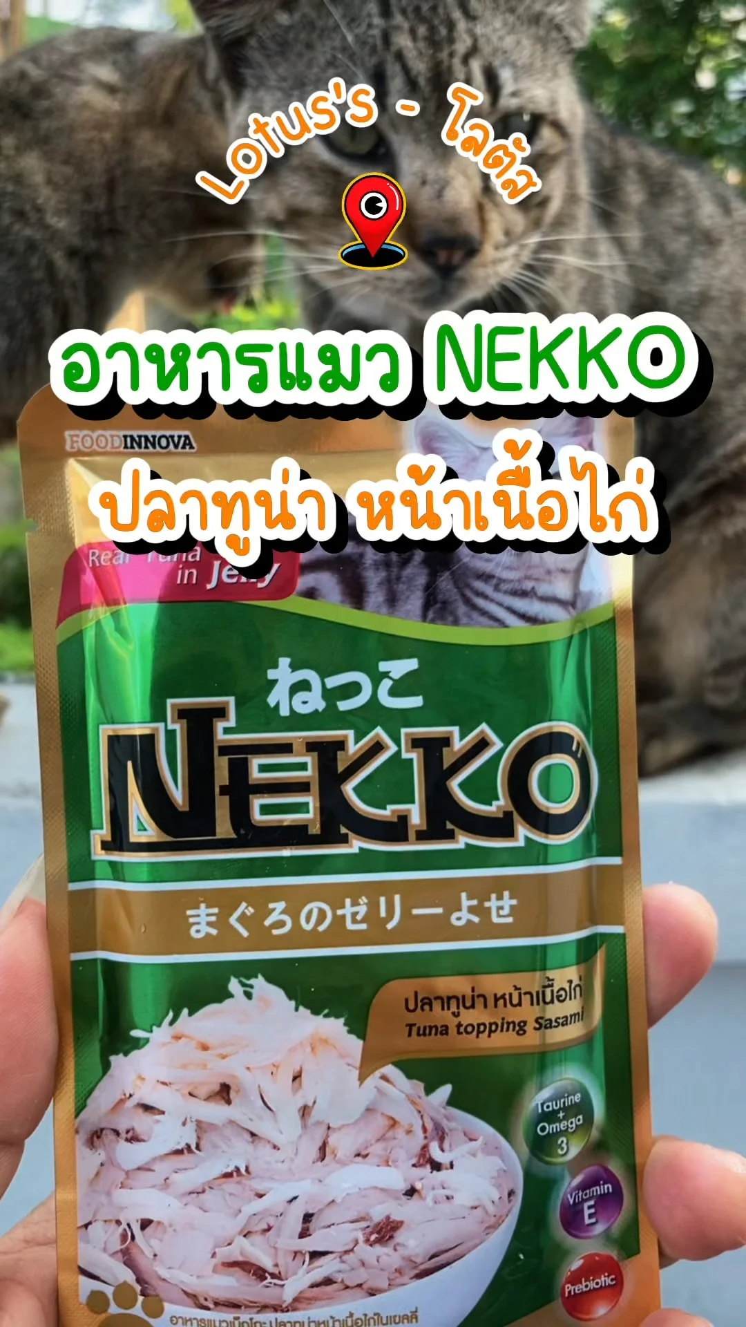 รีวิวอาหารแมว NEKKO รสปลาทูน่า หน้าเนื้อไก่ ที่โลตัส น้องแมวฟินทุกคำ!