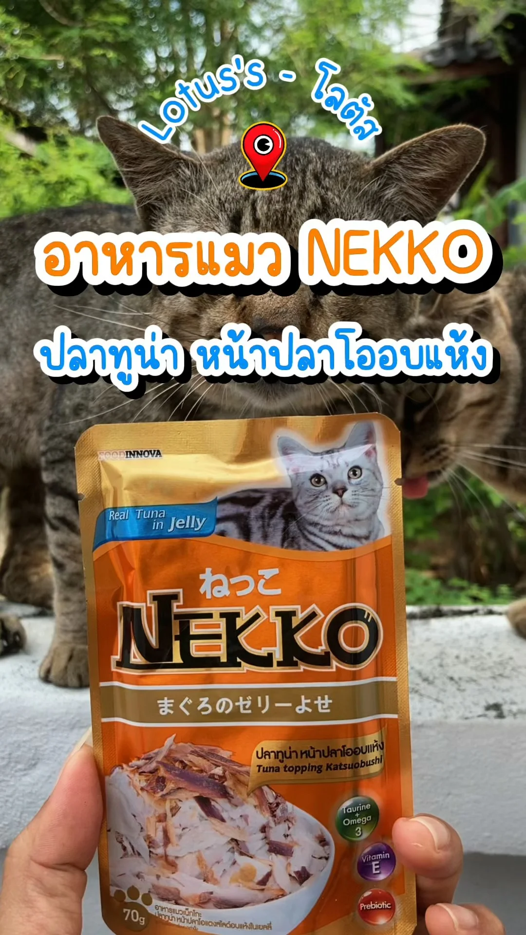 รีวิวอาหารแมว NEKKO รสปลาทูน่า หน้าปลาโออบแห้ง ที่โลตัส น้องแมวฟินทุกคำ!
