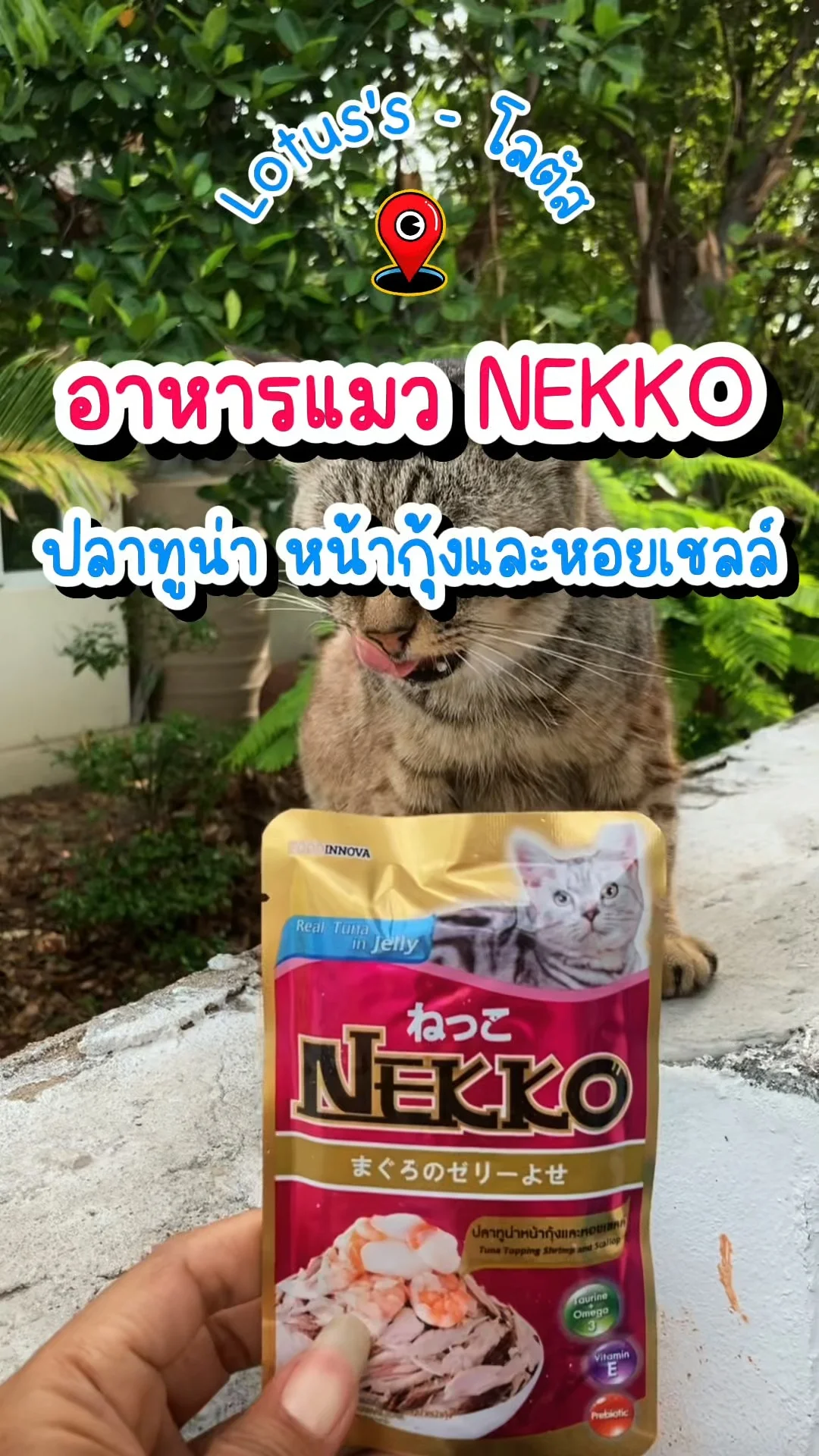 รีวิวอาหารแมว NEKKO รสปลาทูน่า หน้ากุ้งและหอยเชลล์ ที่โลตัส น้องแมวฟินทุกคำ!