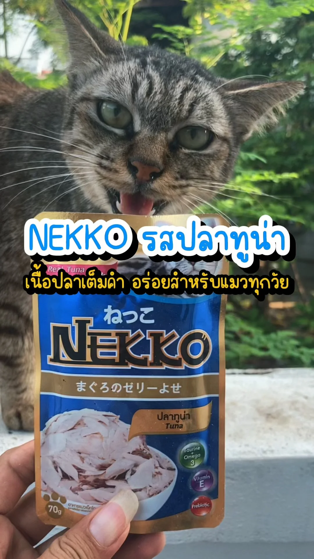 รีวิวอาหารแมว NEKKO รสปลาทูน่า ที่โลตัส น้องแมวฟินทุกคำ!