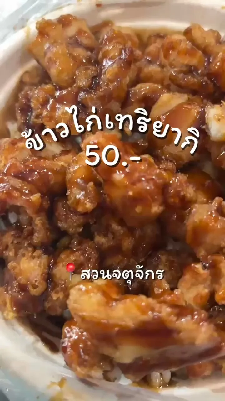 ข้าวไก่ทอดเทริยากิ ซอสเข้มข้นต้นตำญี่ปุ่น ร้านฮอตโตริ ตลาดนัดจตุจักร