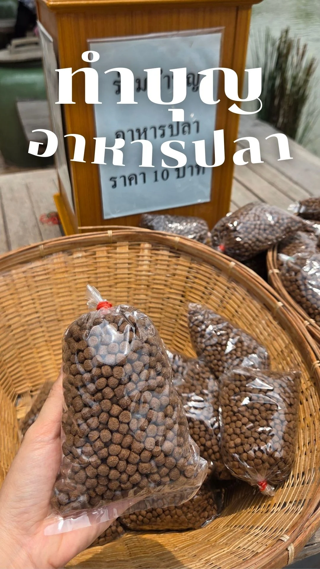 ทำบุญ อาหารปลา ทำทาน เสริมดวงชะตา อายุยืนยาว