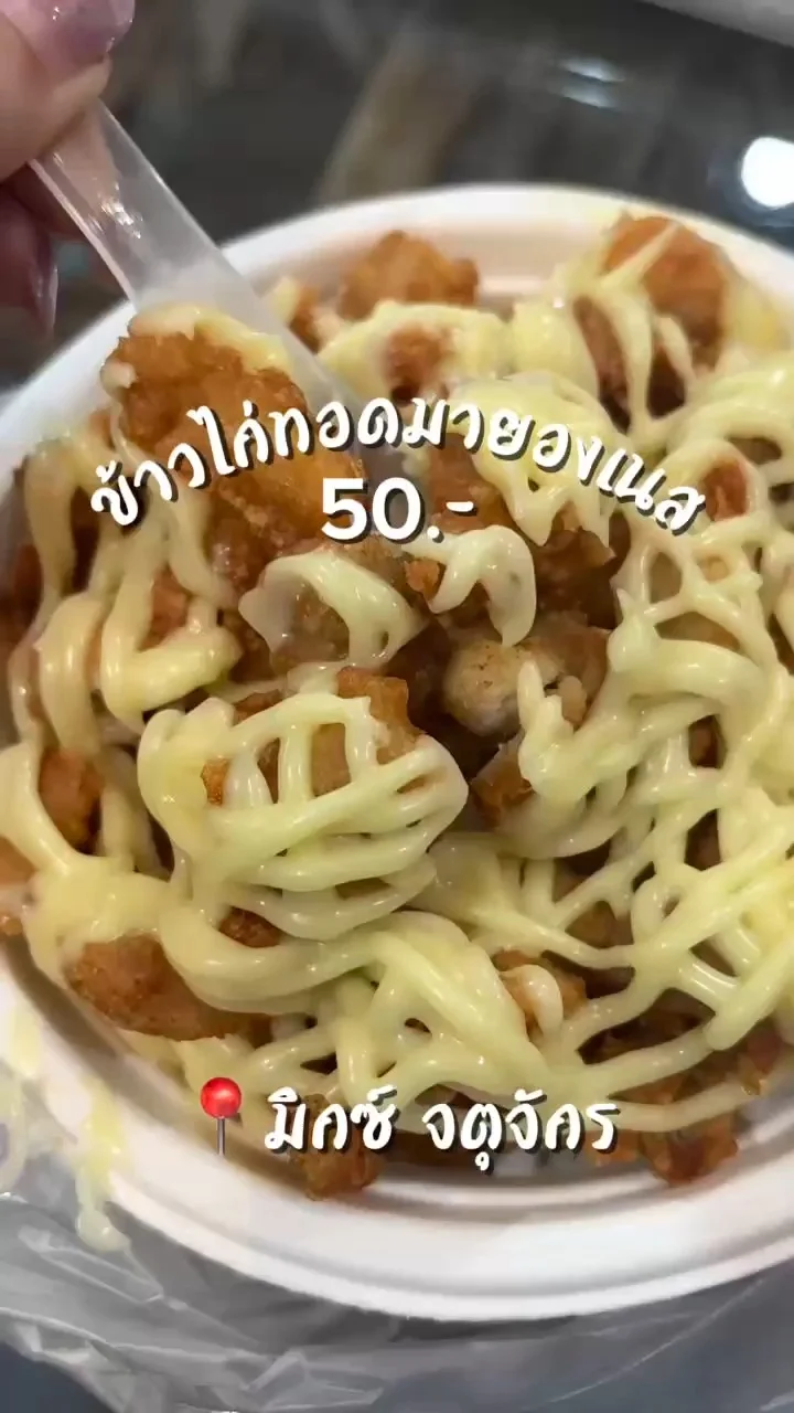 รีวิว ข้าวไก่ทอดมายองเนส ที่ตลาดนัดจตุจักร ไก่สุดกรอบมายองเนสรสนัว