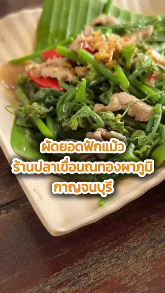 ผัดยอดฟักแม้ว ร้านปลาเขื่อนณทองผาภูมิ กาญจนบุรี เมนูต้องลอง