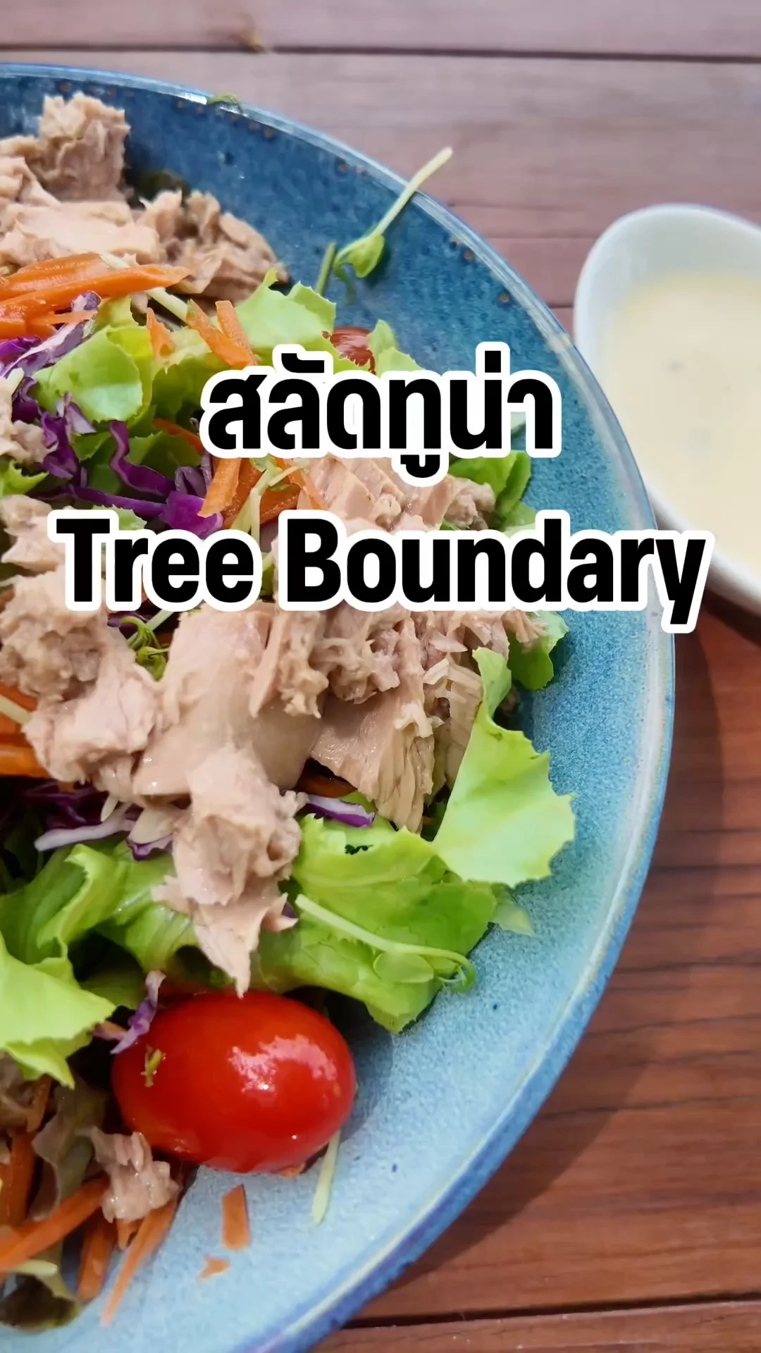 กินผักเพื่อสุขภาพ สลัดทูน่า Tree Boundary กาญจนบุรี