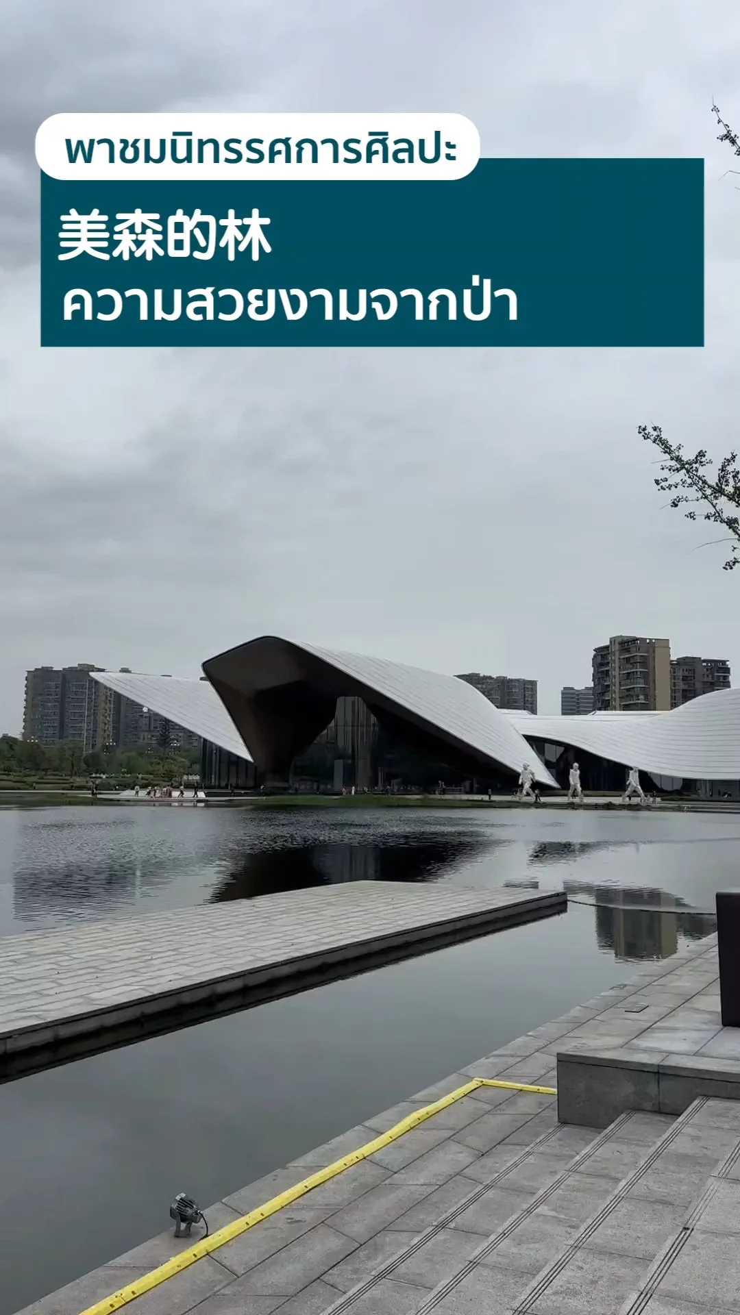 พาชมนิทรรศการศิลปะ 美森的林 ความสวยงามจากป่า