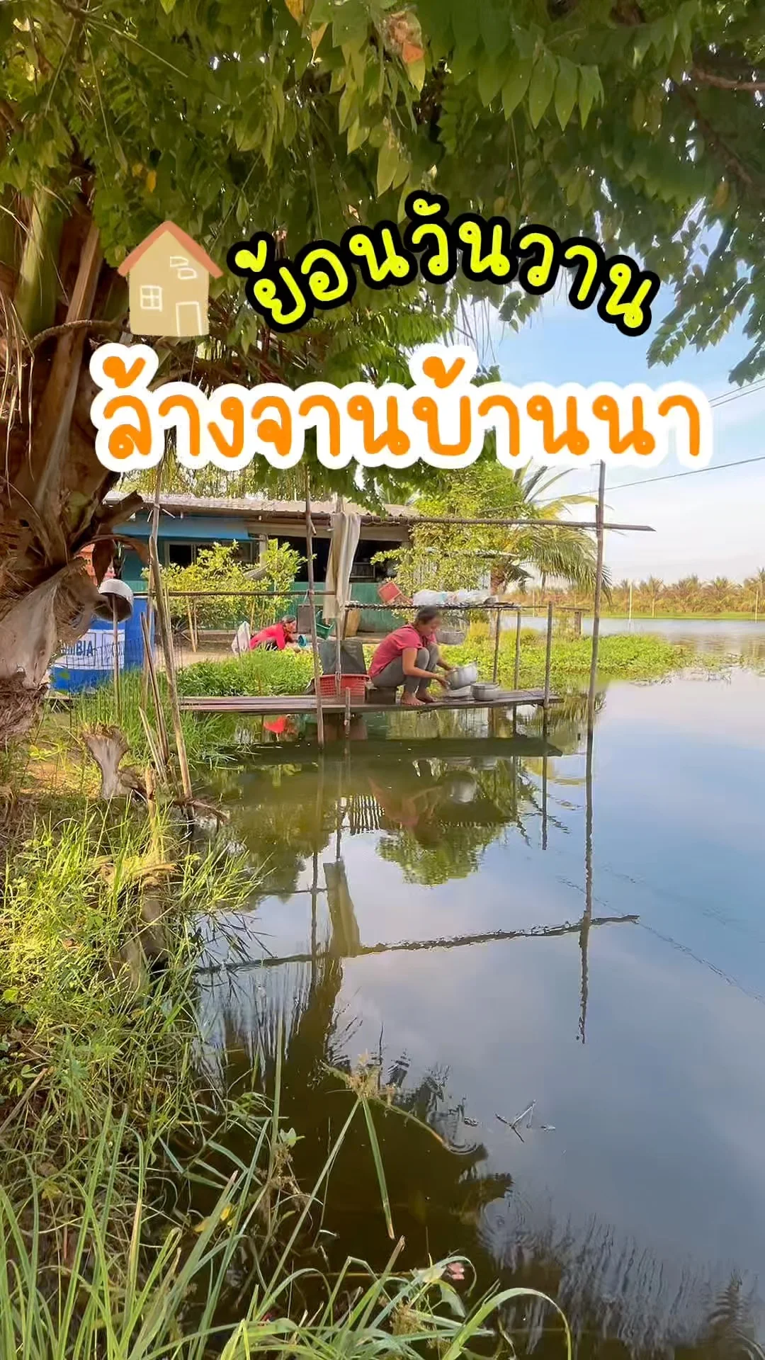 ล้างจานกลางสวน บ้านนา วิถีเรียบง่ายที่เต็มไปด้วยรอยยิ้ม