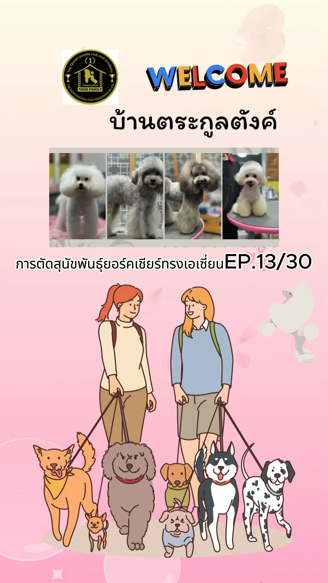 การตัดขนสุนัขพันธุ์ยอร์คเชียร์ทรงเอเซี่ยน น้องน่ารักมาก