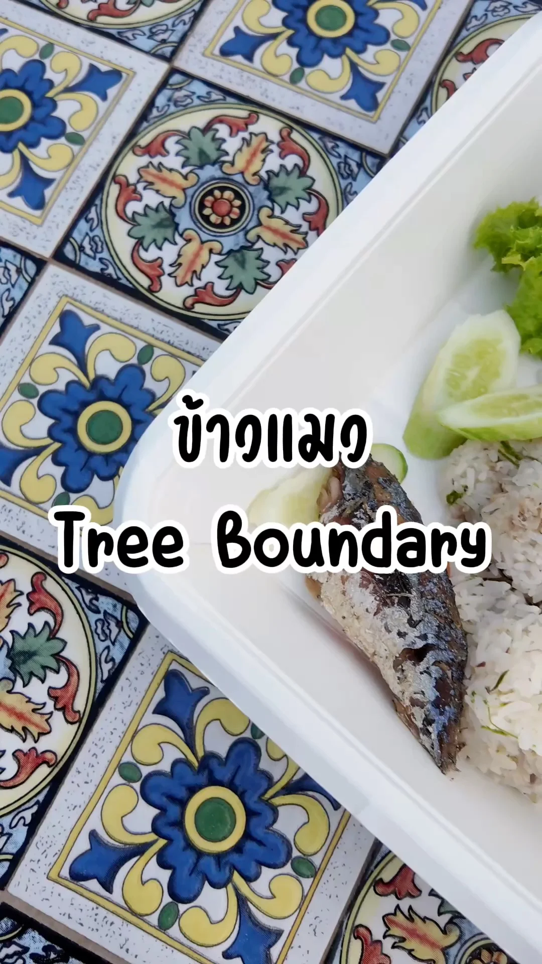 ข้าวแมว ปลาทูน่ากินๆ จากร้าน Tree Boundary กาญจนบุรี