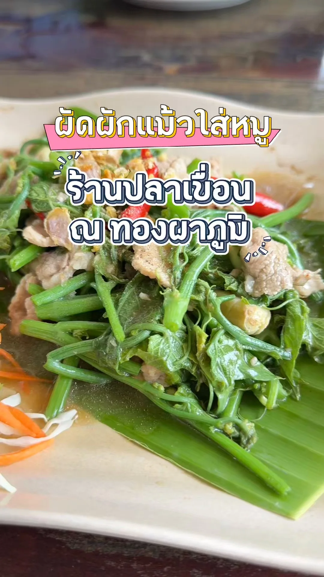 ผัดผักแม้วใส่หมู ร้านปลาเขื่อน ทองผาภูมิ สุดยอดเมนูเด็ดหากินยาก ต้องสั่ง!