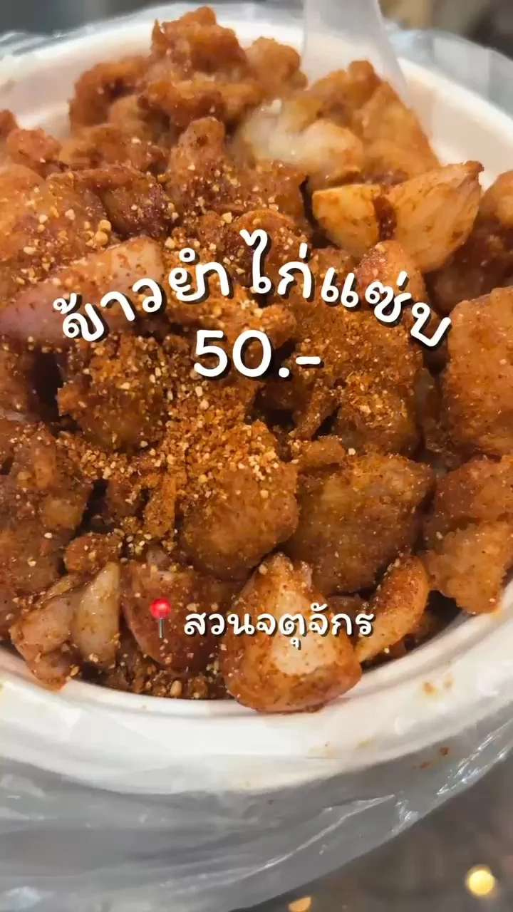 ข้าวยำไก่แซ่บ ข้าวคั่วหอมๆจากร้านฮอตโตริ ตลาดนัดจตุจักร