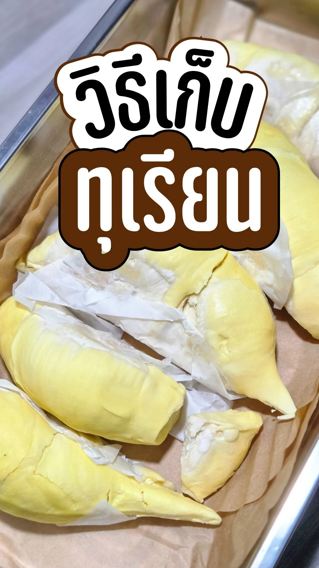 HOWTO วิธีเก็บ ทุเรียน เก็บได้นาน ไร้กลิ่นรบกวน ไม่เละ อยู่ได้นาน