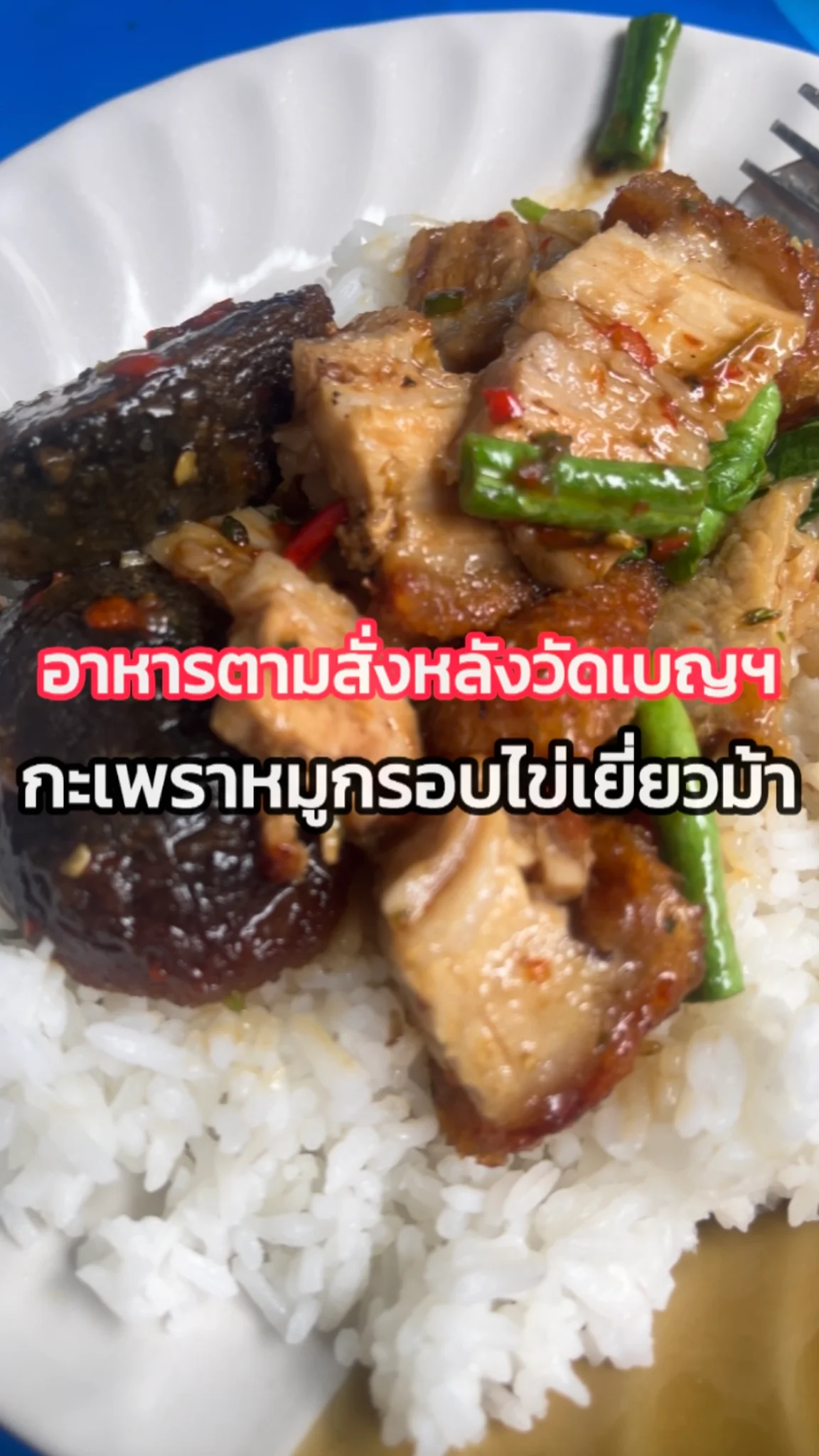 รีวิวเมนูกะเพราหมูกรอบไข่เยี่ยวม้า อาหารตามสั่งหลังวัดเบญจมบพิตร กรุงเทพฯ