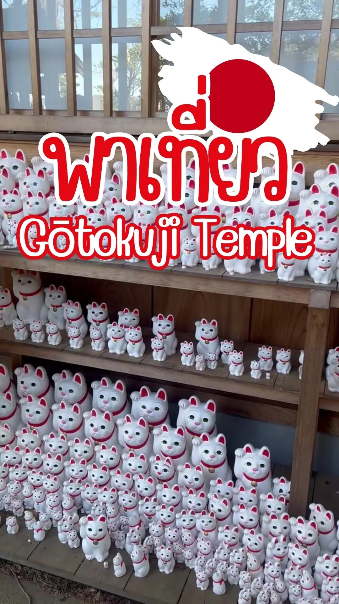 พาเที่ยว วัด Gotokuji วัดแมวสุดฮิตที่ไม่ควรพลาด โตเกียว ญี่ปุ่น