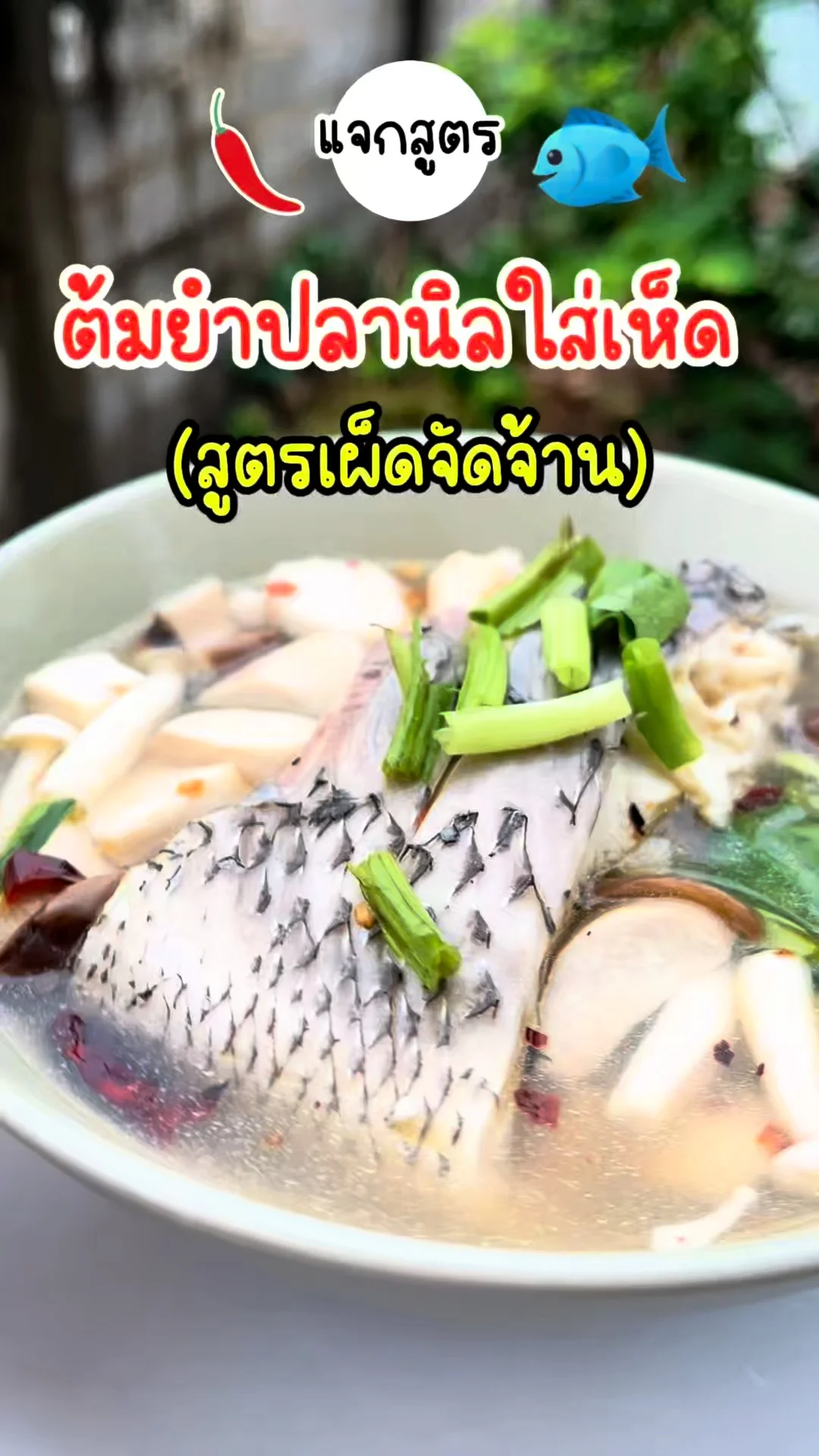 สูตรเด็ดต้มยำปลานิลใส่เห็ด รสชาติจัดจ้าน เผ็ดสะใจต้องลอง!