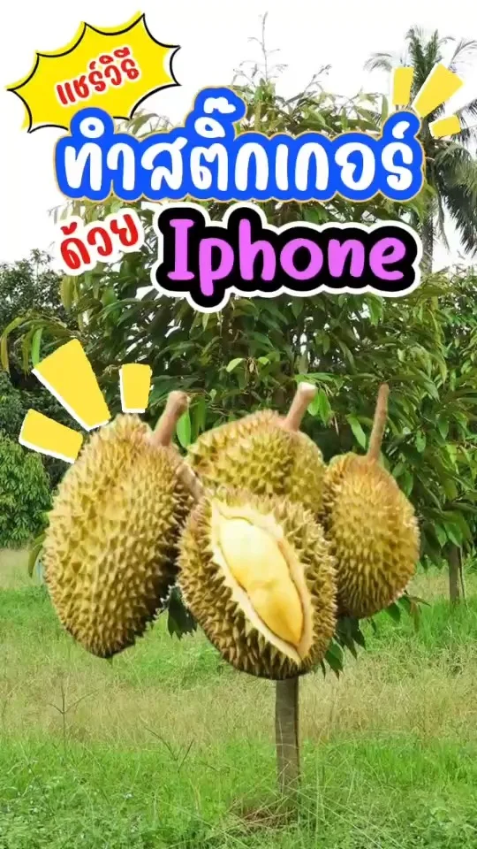 ทำสติ๊กเกอร์ด้วย Iphone ไม่ต้องเล็ง ไม่ต้องเกร็ง อีกต่อไปแล้วง่ายในพริบตา