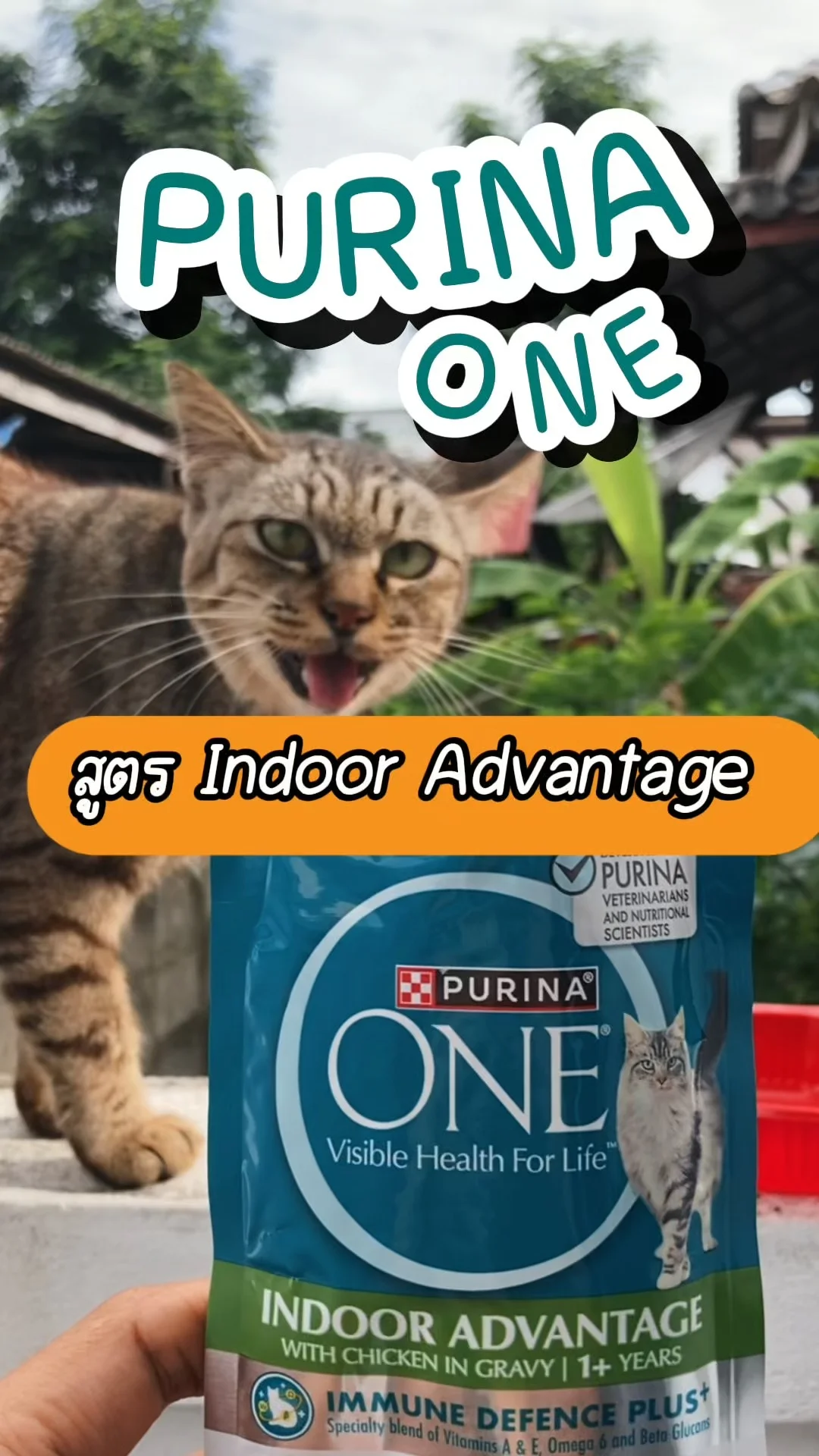 รีวิว Purina One Indoor Advantage ที่โลตัส อาหารแมวเพื่อน้องเหมียวอยู่บ้าน